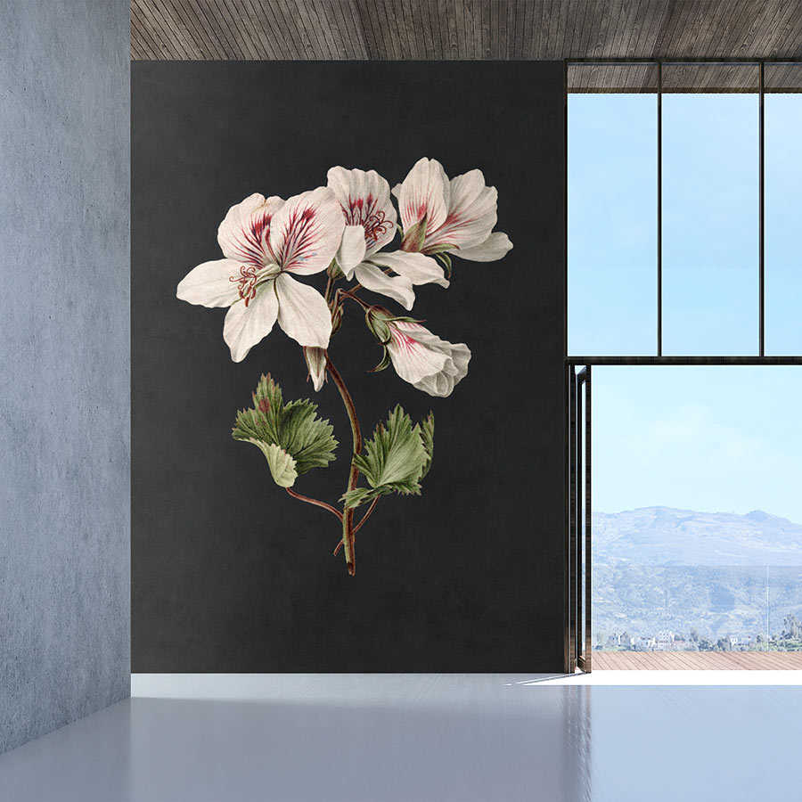 Blume, Pflanze, Kunst, Malerei
