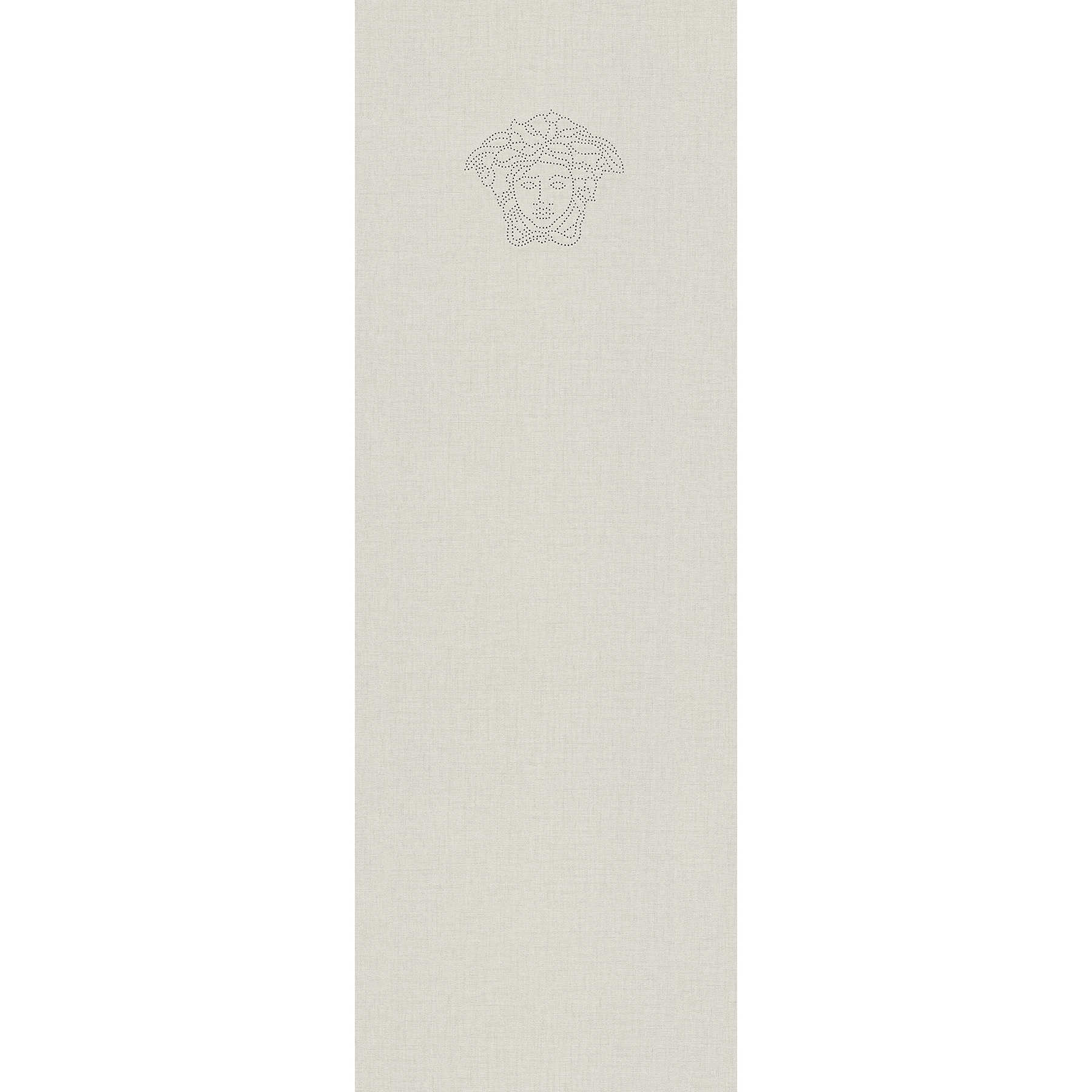         papier peint en papier intissé uni Argent avec perles Logo - Metallic
    