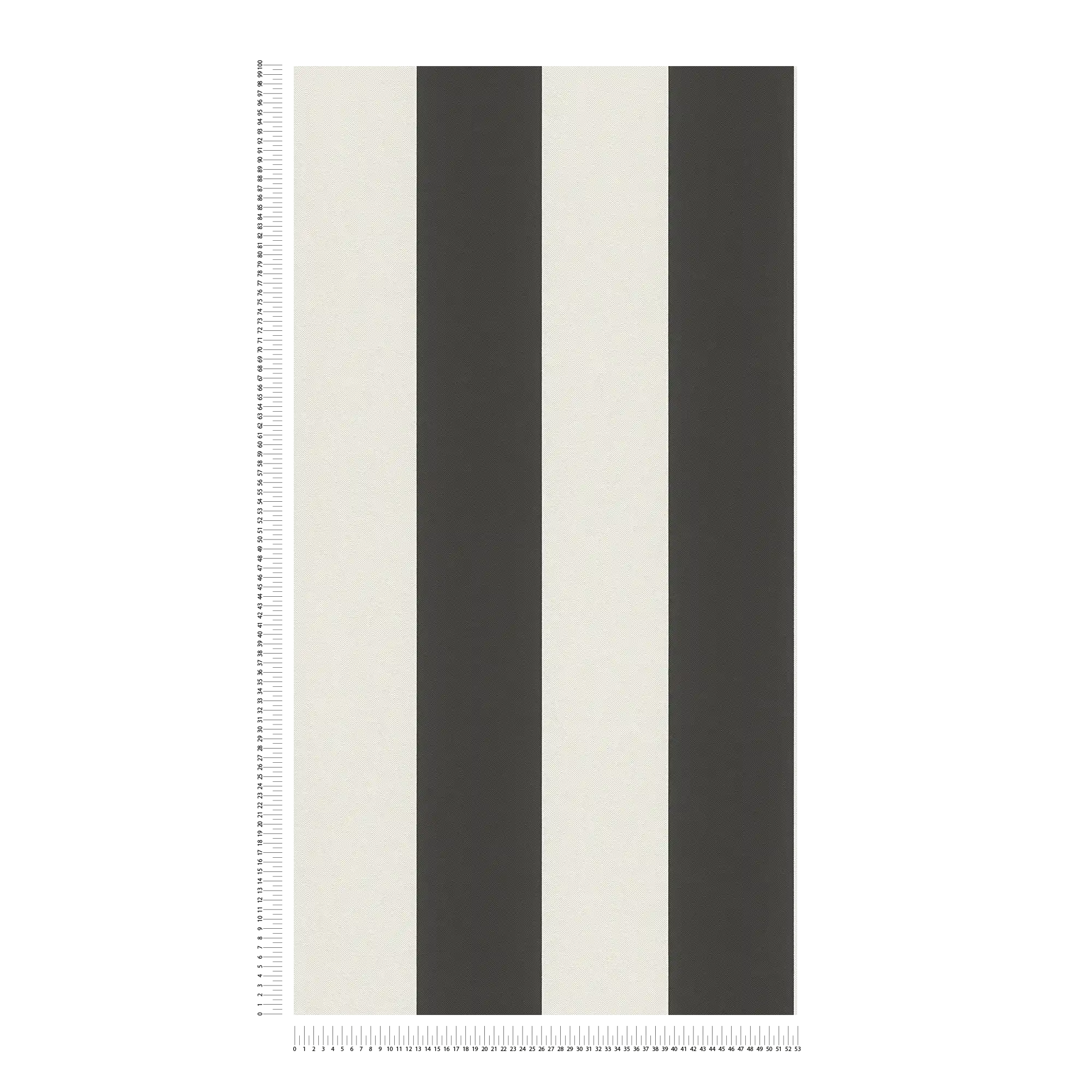 Gestreifte Tapete Schwarz-Weiß Design