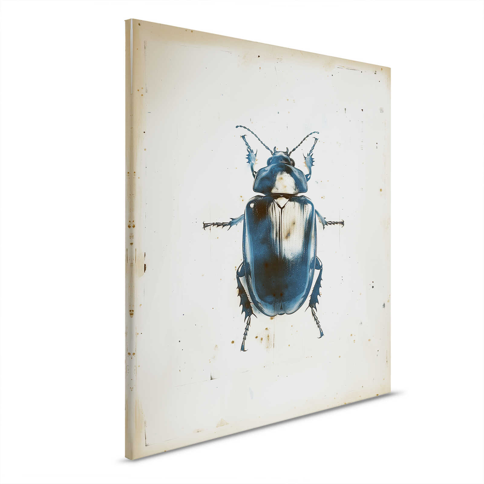 Canvas schilderij - Studie van de blauwe kever - 40 x 50 cm - Beige, Blauw