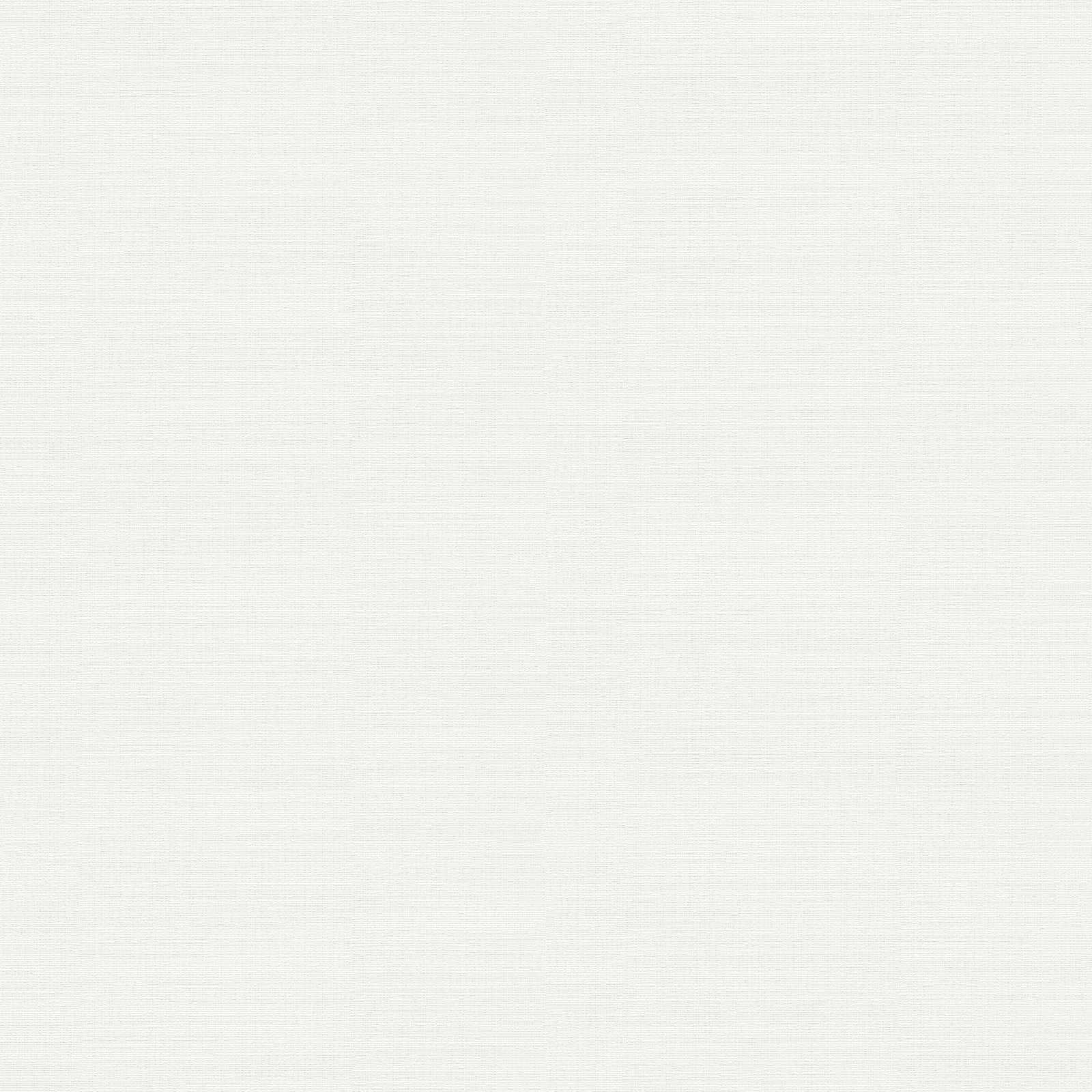         Vliestapete mit feiner Leinenstruktur überstreichbar doppeltbreit – Weiß
    