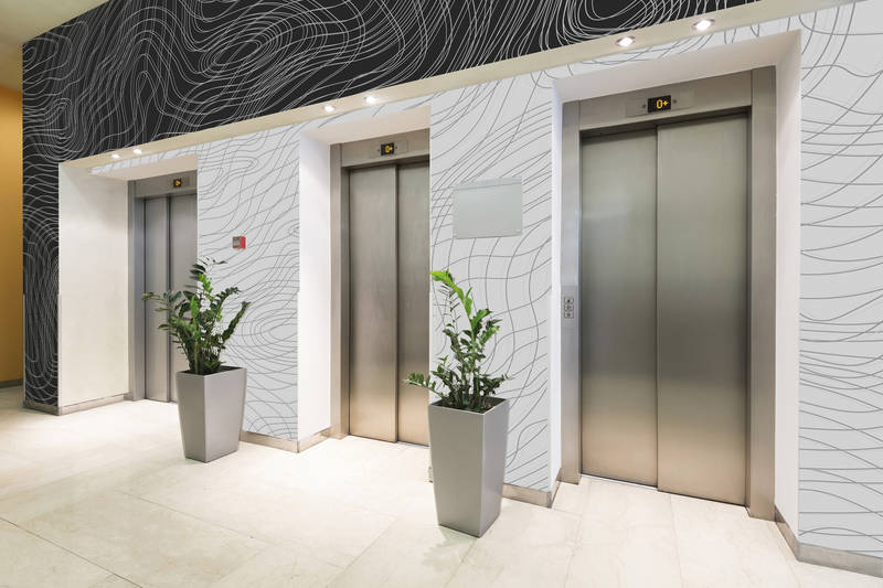 Drinnen, Innenarchitektur, Aufzug, Pflanze