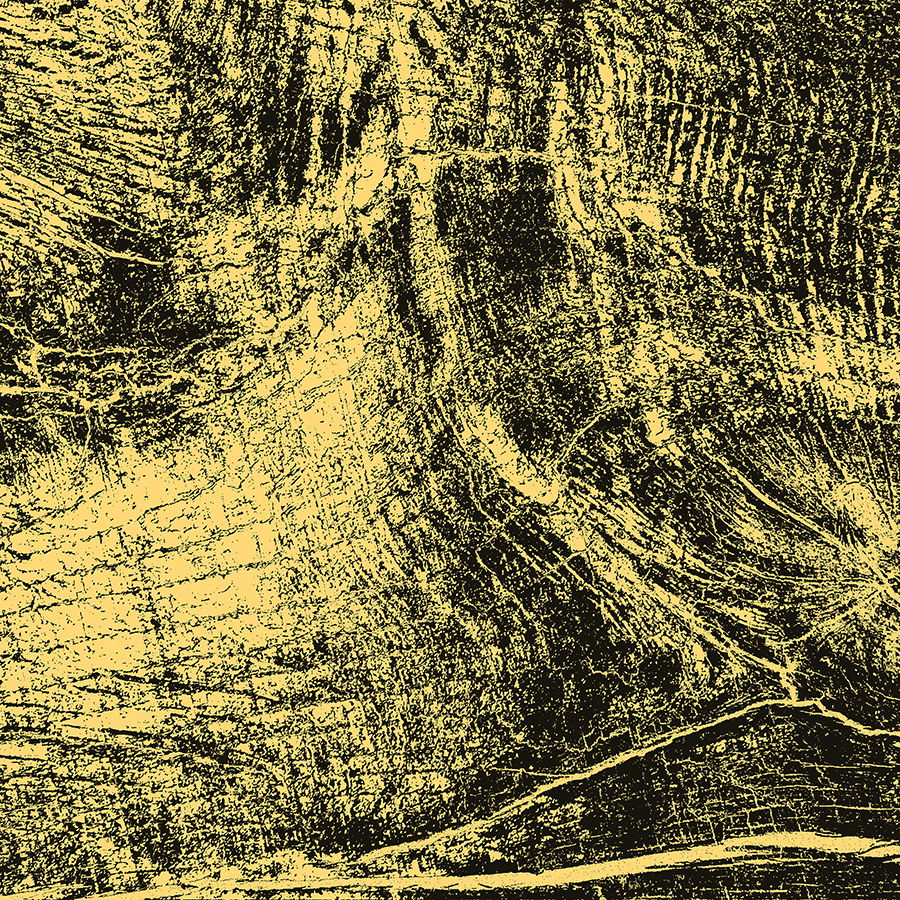         Fototapete 'Goldholz' – Rustikale Optik mit goldenem Flair, feine Oberfläche – Gelb, Schwarz
    