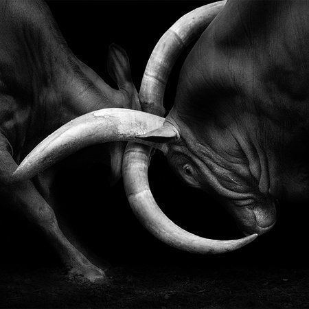         Bullfighting mural - close up black and white
    