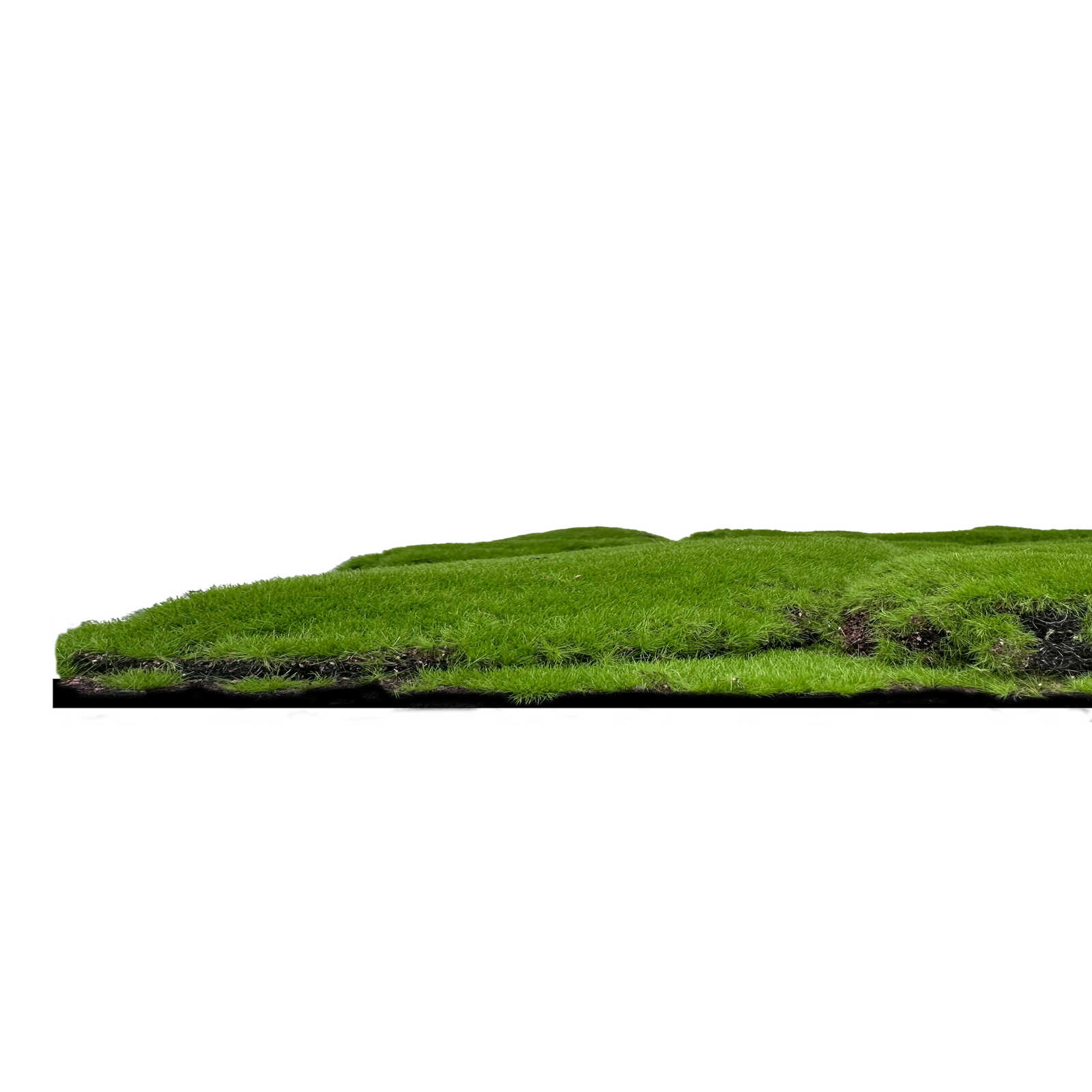 Rasen, Grasfläche, Gepflanzte Fläche, Grasbedeckung, Erde/Boden