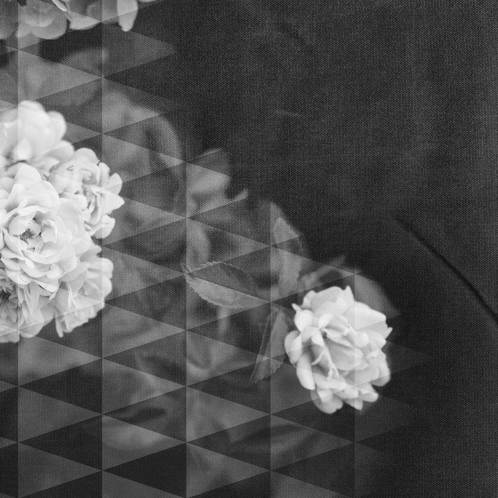 Blumen, Dessous, Textil, Muster, Stoff