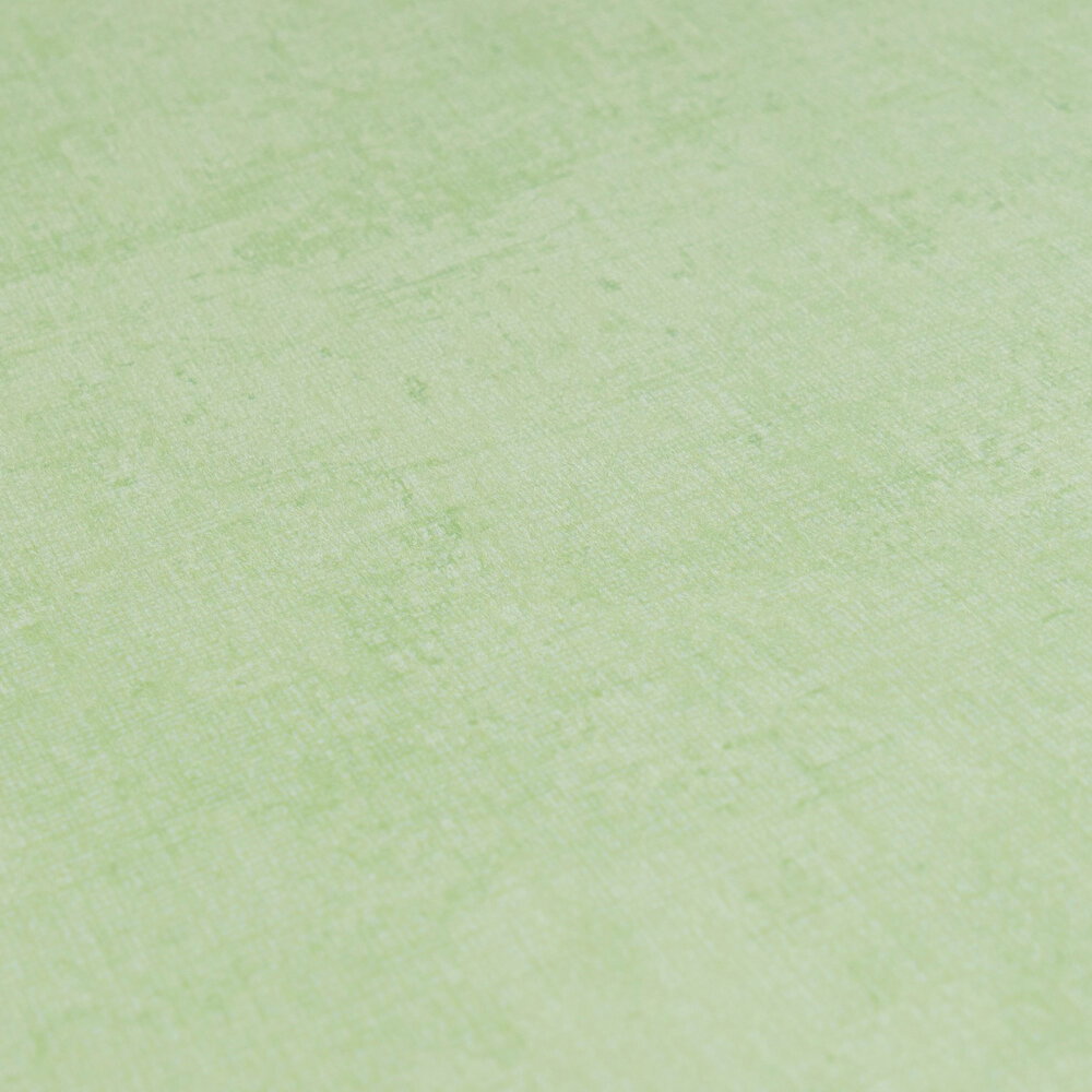             Einfarbige Kinderzimmer Vliestapete - Sanft und schlicht als ideale Ergänzung zu unseren Motivtapeten – Grün
        