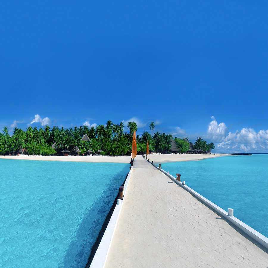 tropische Insel, Pier, weißer Sand, türkis Wasser, Palmbäume