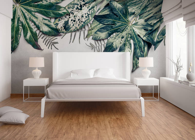             Fototapete Hängegarten Monstera Blätter – Blau, Grün
        