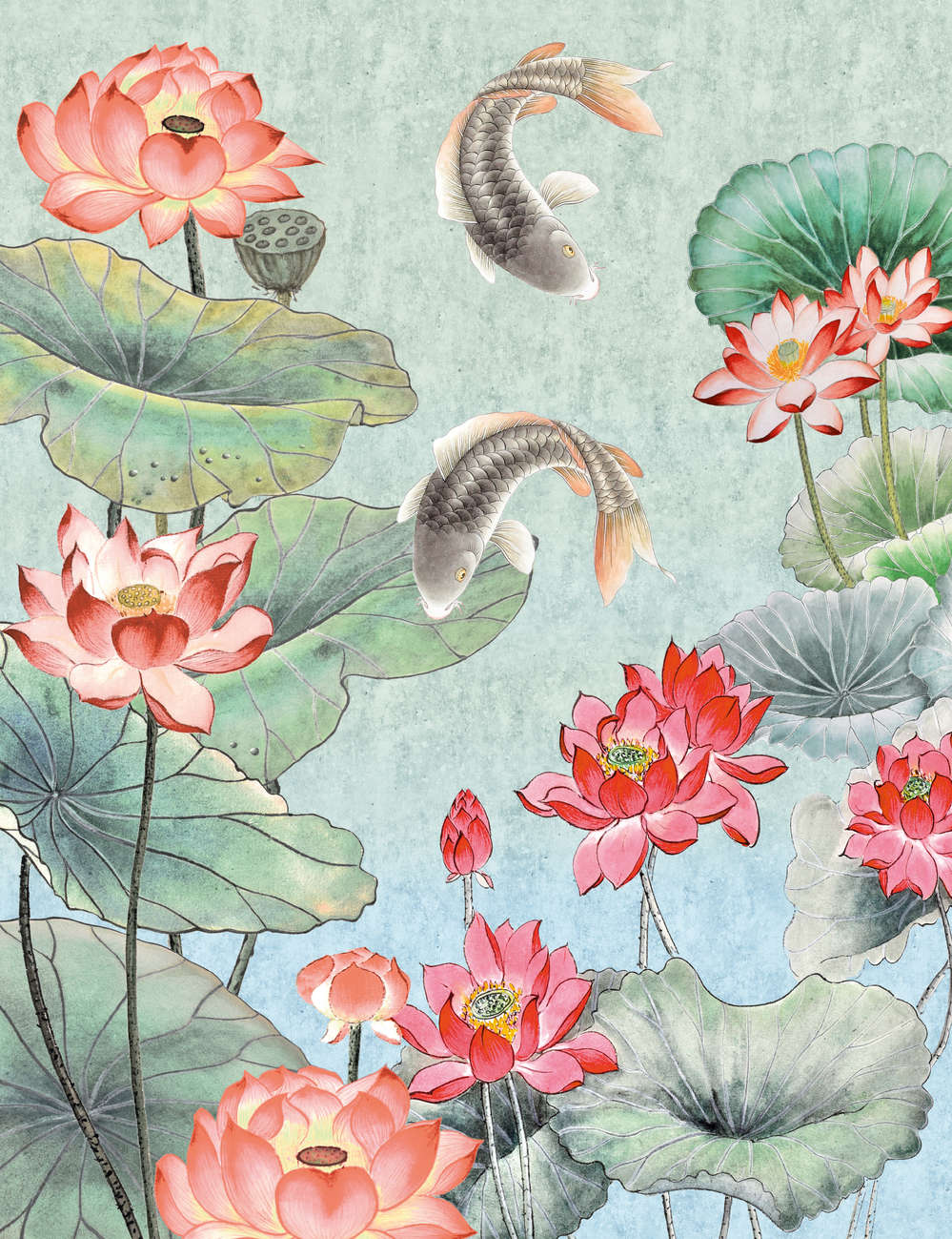 koi, fisch, wasser garten, lotus, teich szene