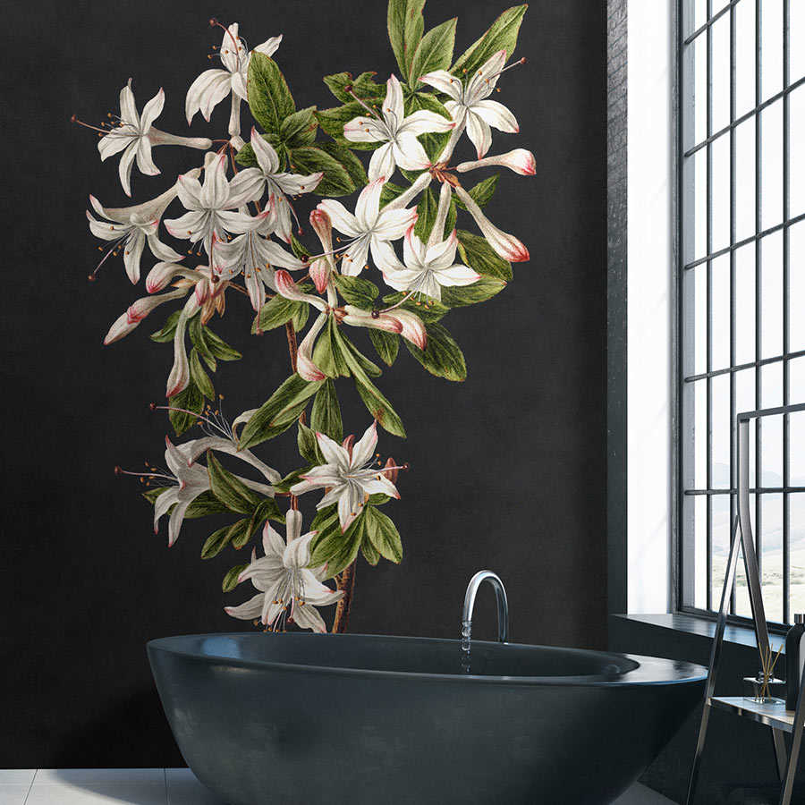 Blume, Blumen-Arrangement, Pflanze, Baden