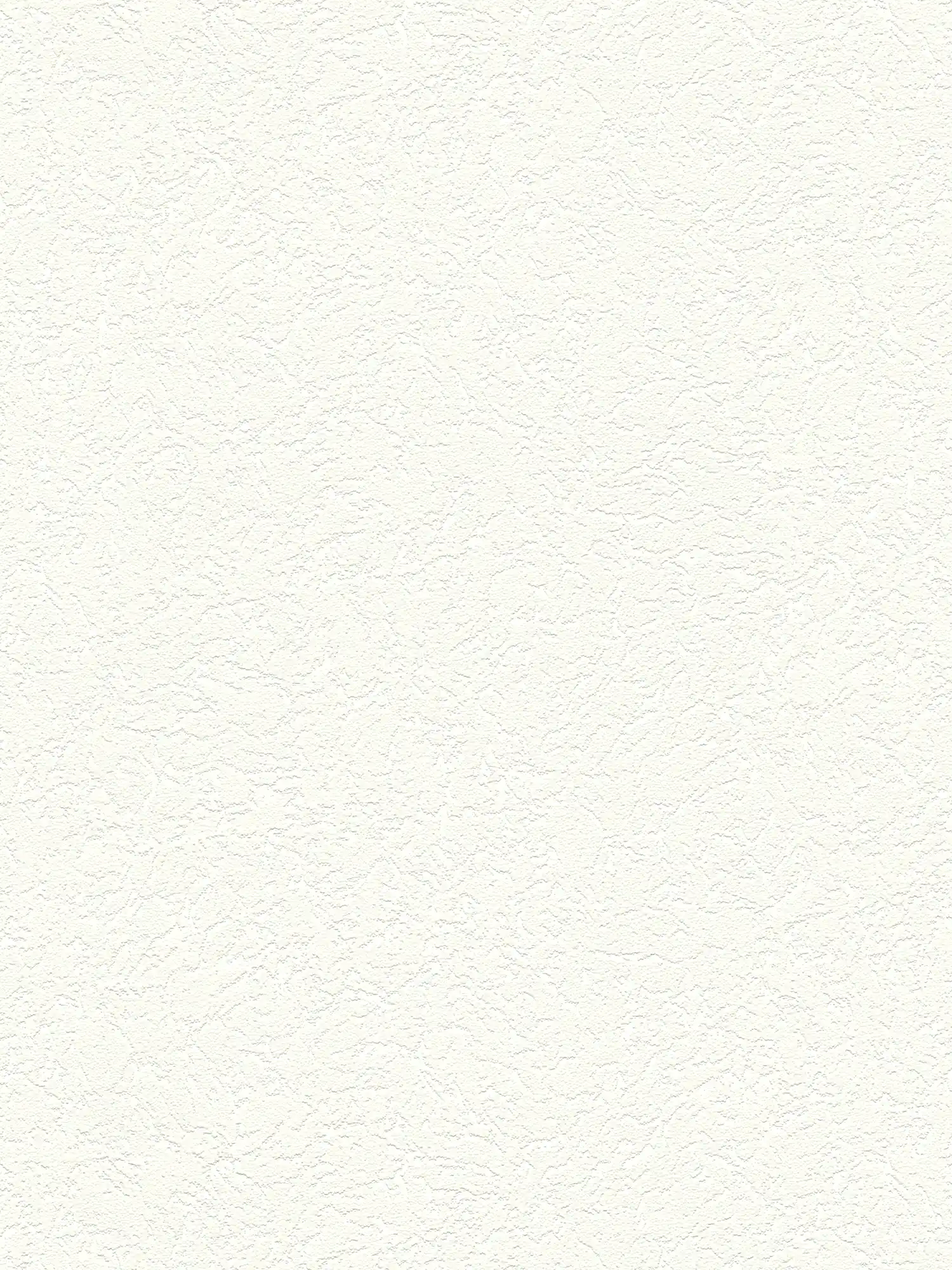             Rauputz-Optik Tapete weiß aus Vlies mit 3D Struktur
        