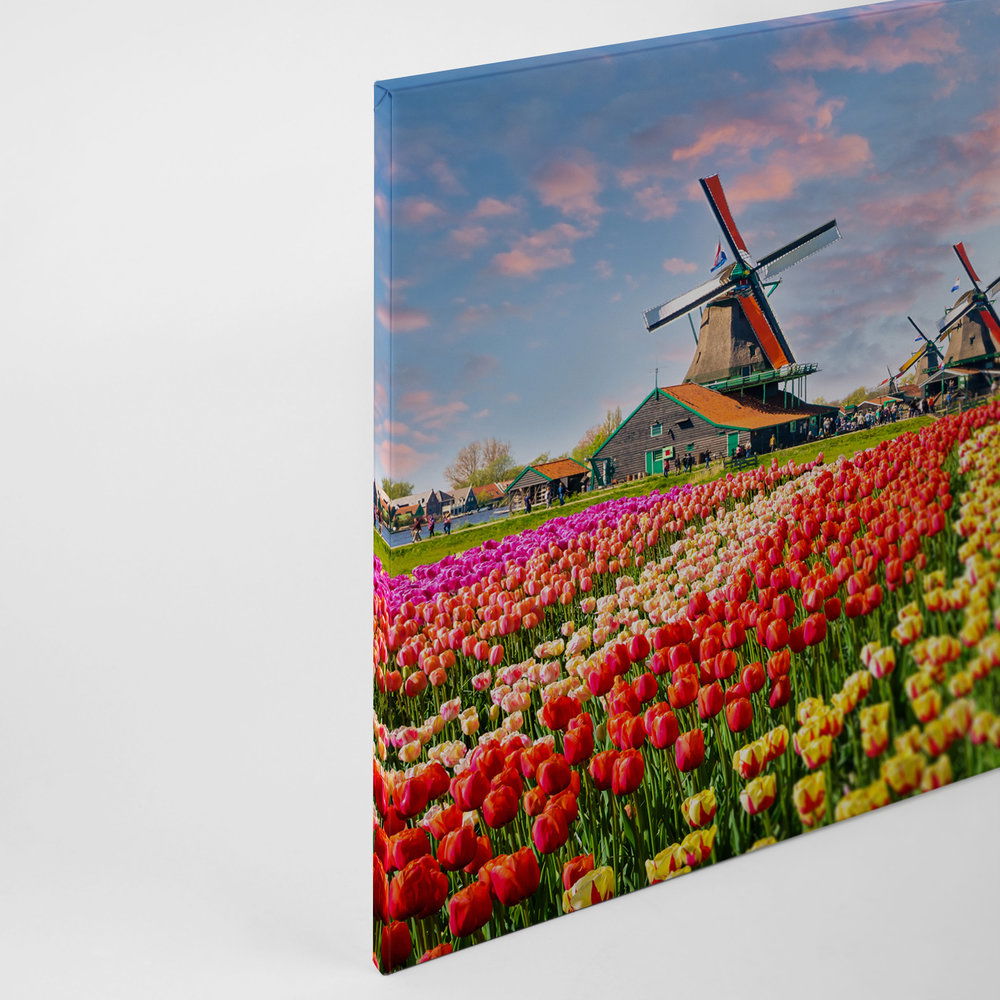             Leinwand Holland Tulpen & Windrad – 0,90 m x 0,60 m
        