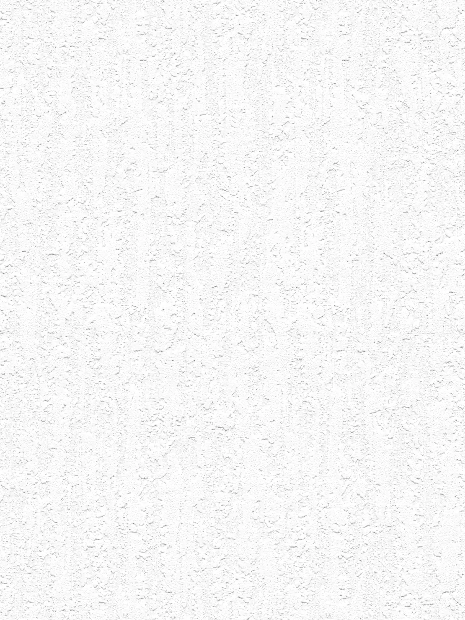         White wallpaper me structure in rough plaster look - white
    