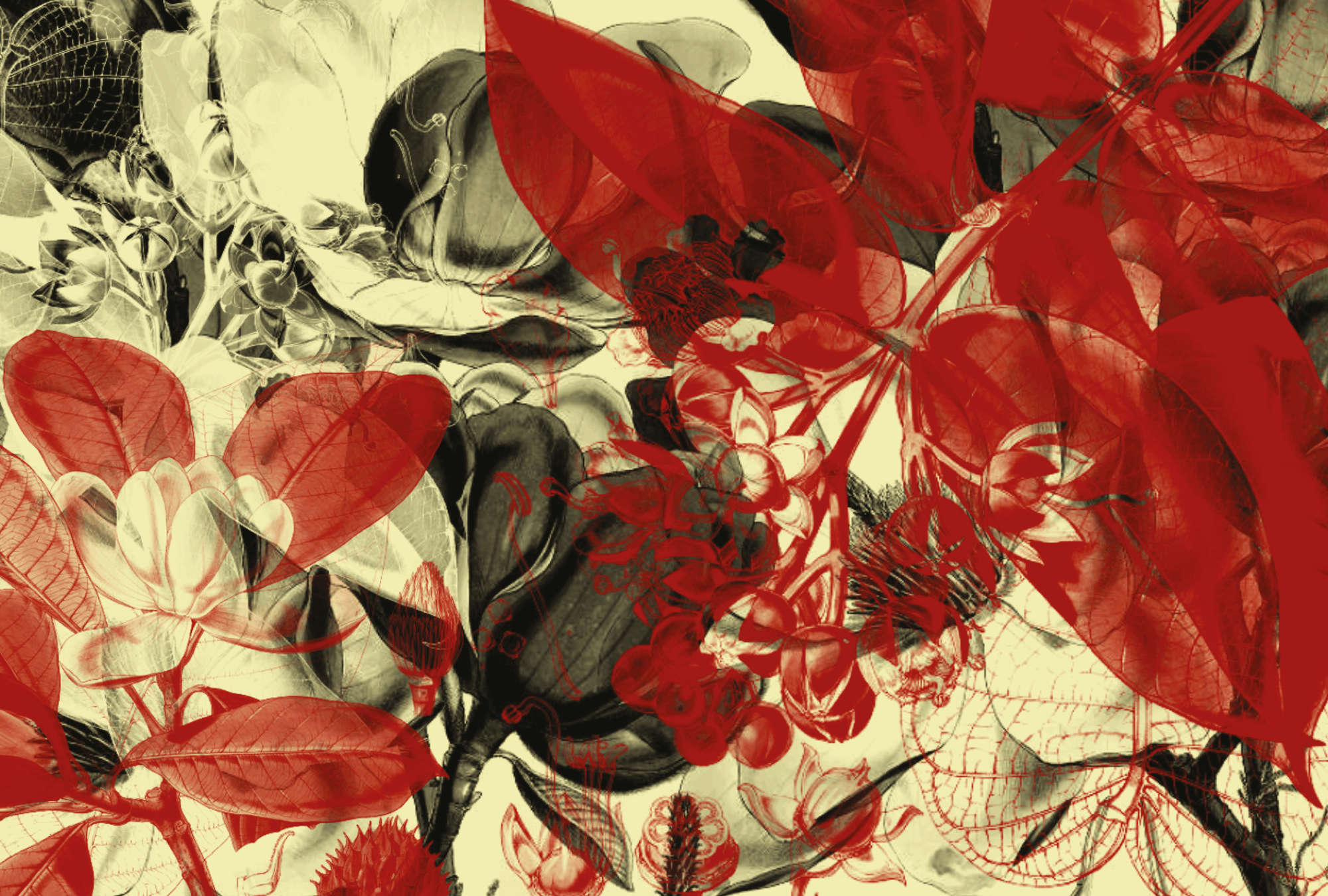 blumen, pflanzen, blätter, rot, muster