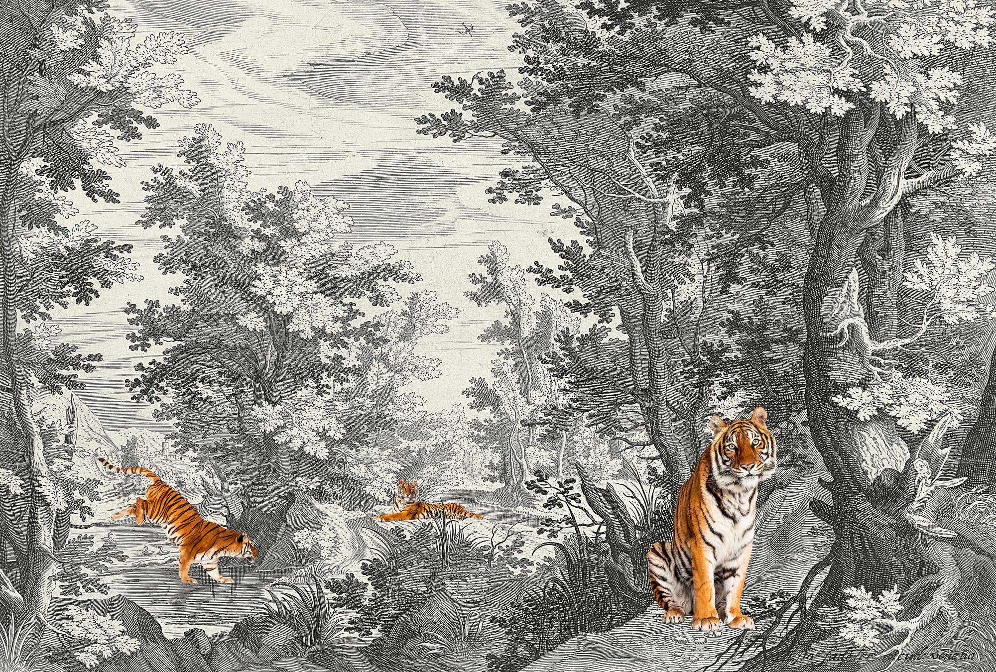 Tier, Säugetier, Tiger, Tierwelt, Kunst