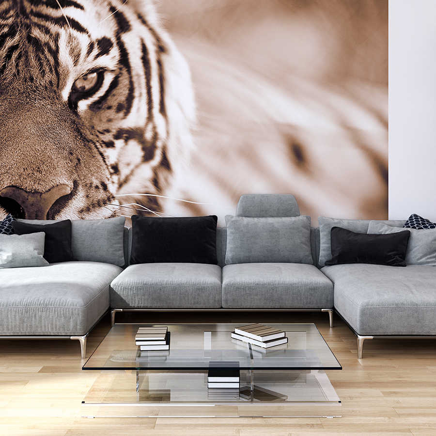 tiger mural, tierdruck, sofa, wohnzimmer, glas-couchtisch