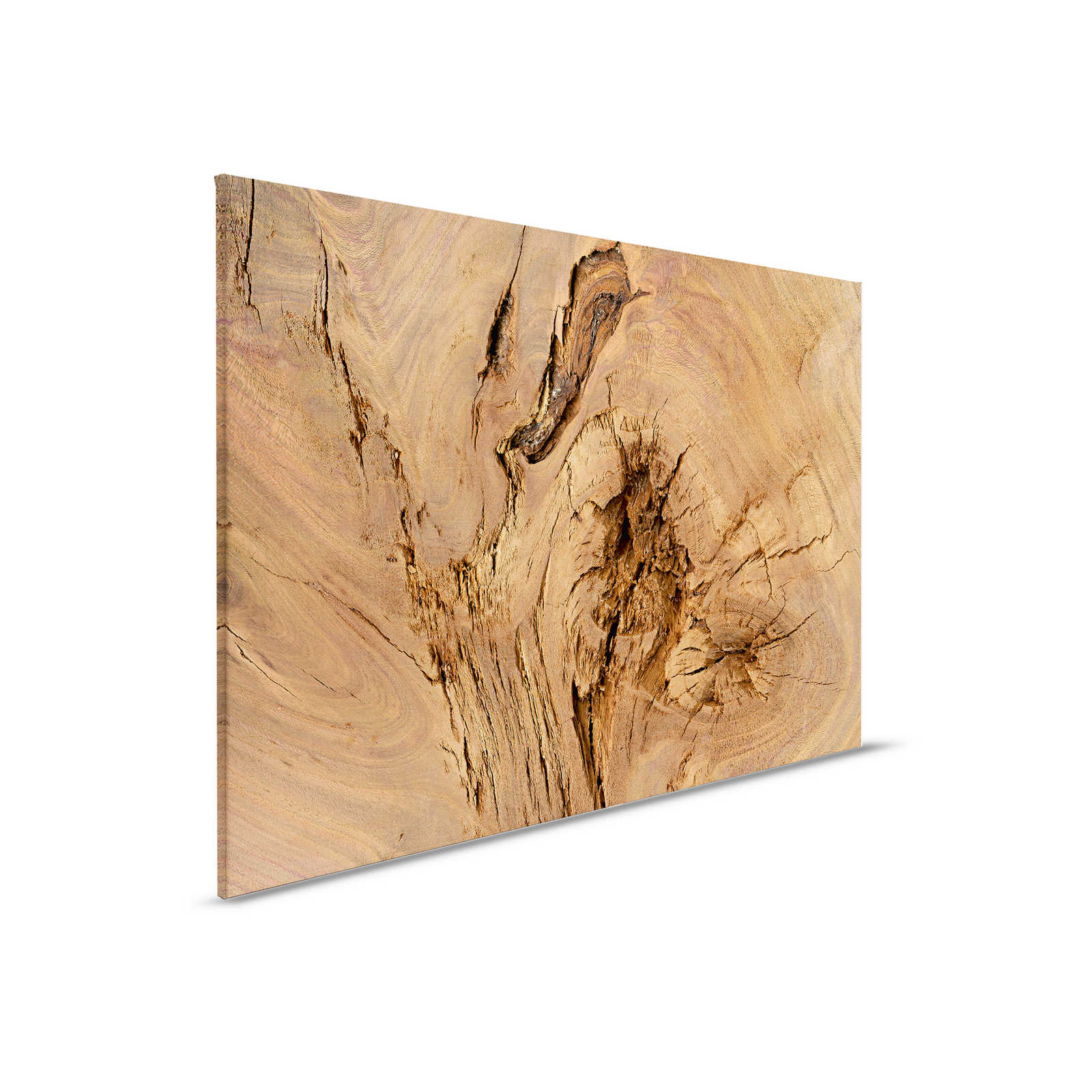         Leinwandbild Detailaufnahme von einem Baumstamm – 0,90 m x 0,60 m
    