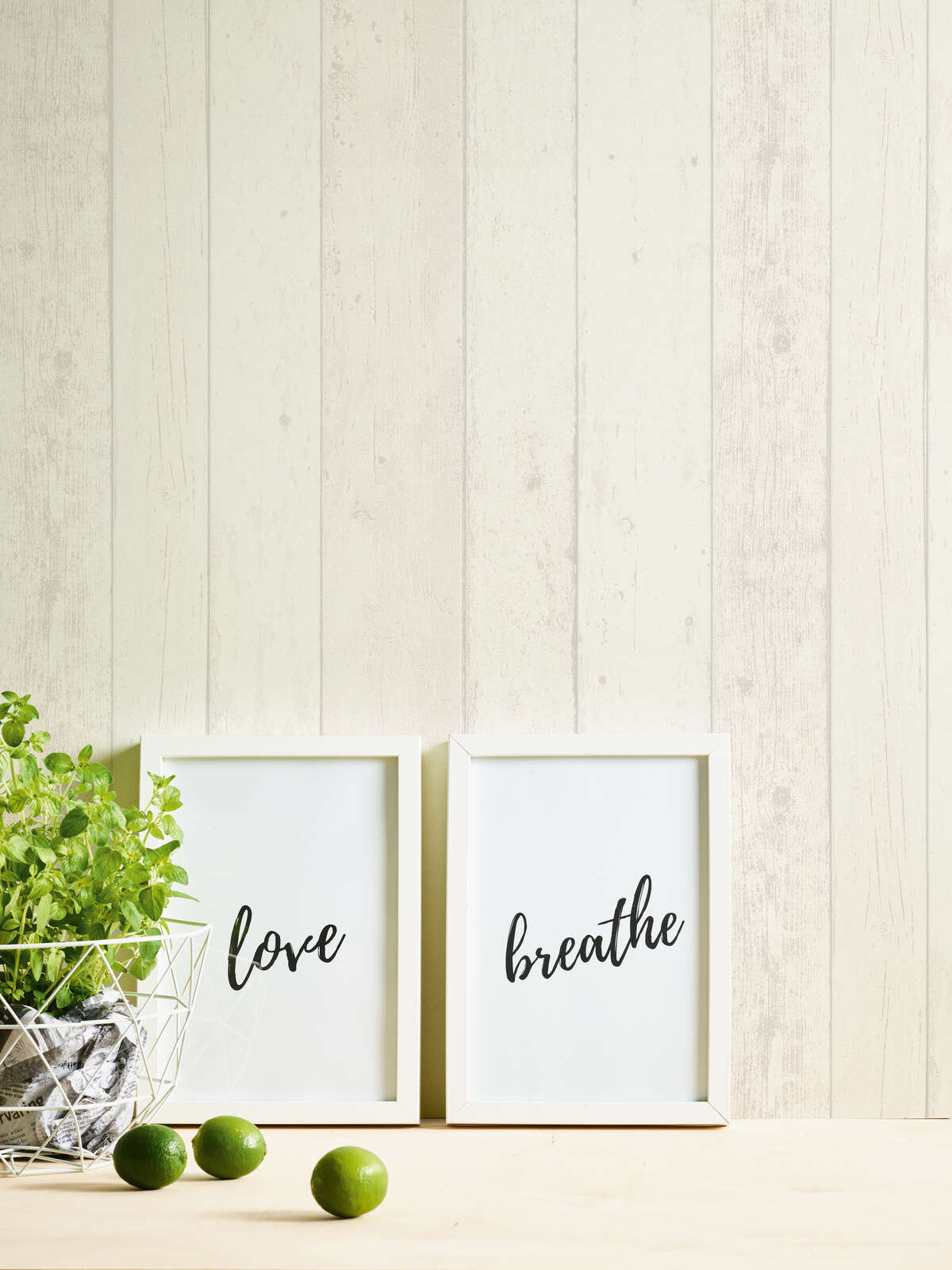 rahmen, fotoframe, deko, pflanze, kunst