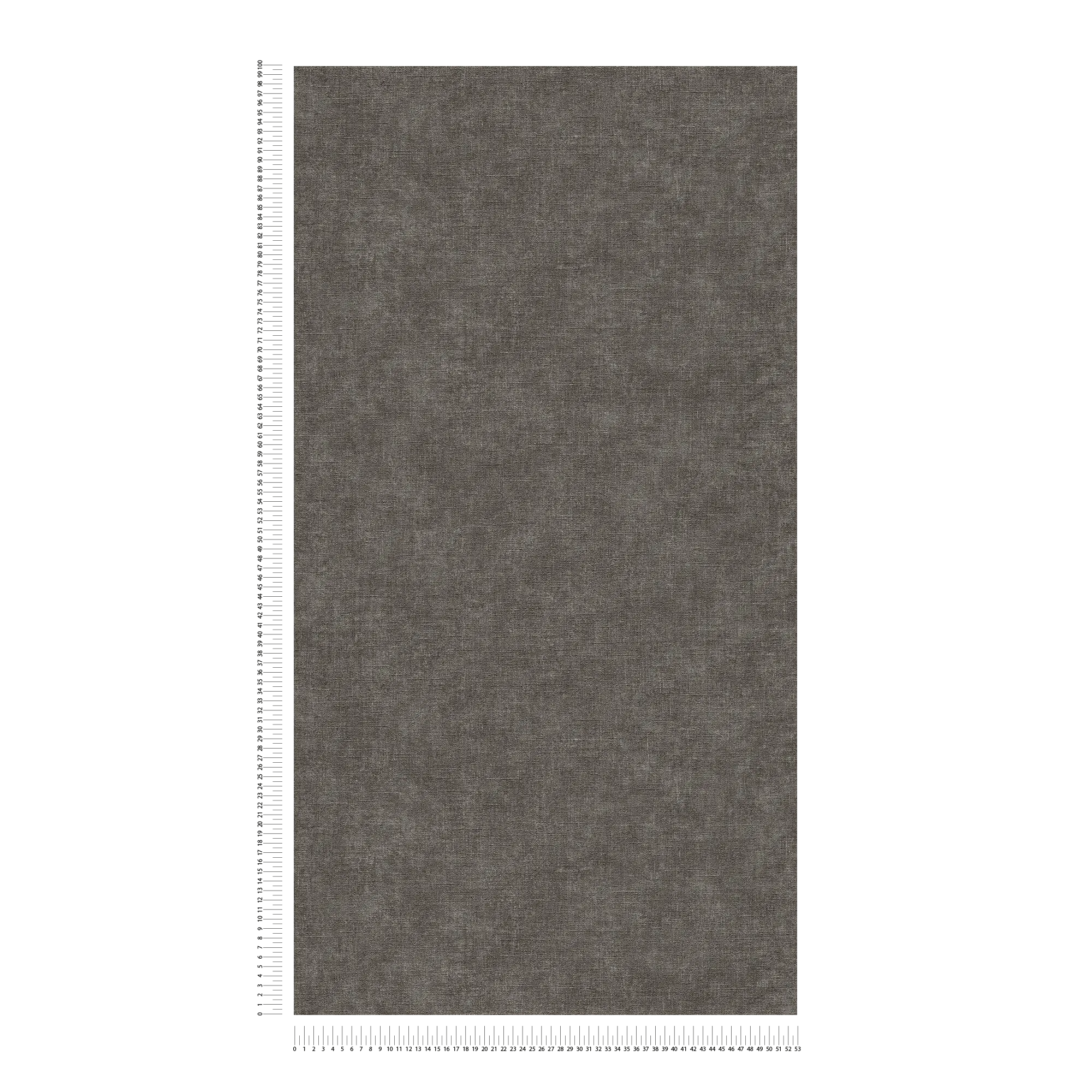             Einfarbige Vliestapete in Putzoptik – Schwarz, Grau
        