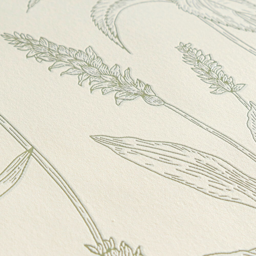 Gras, Pflanze, Kunst, Zeichnen, Muster