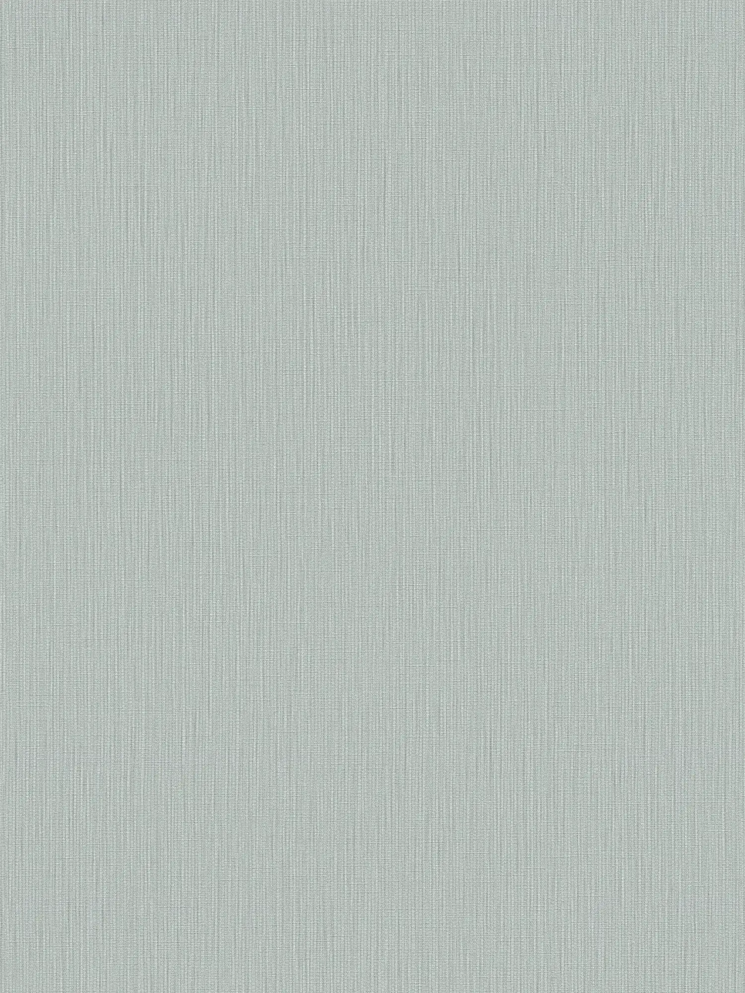             Unifarbende Vliestapete im Textil-Look von MICHALSKY – Grau, Blau
        