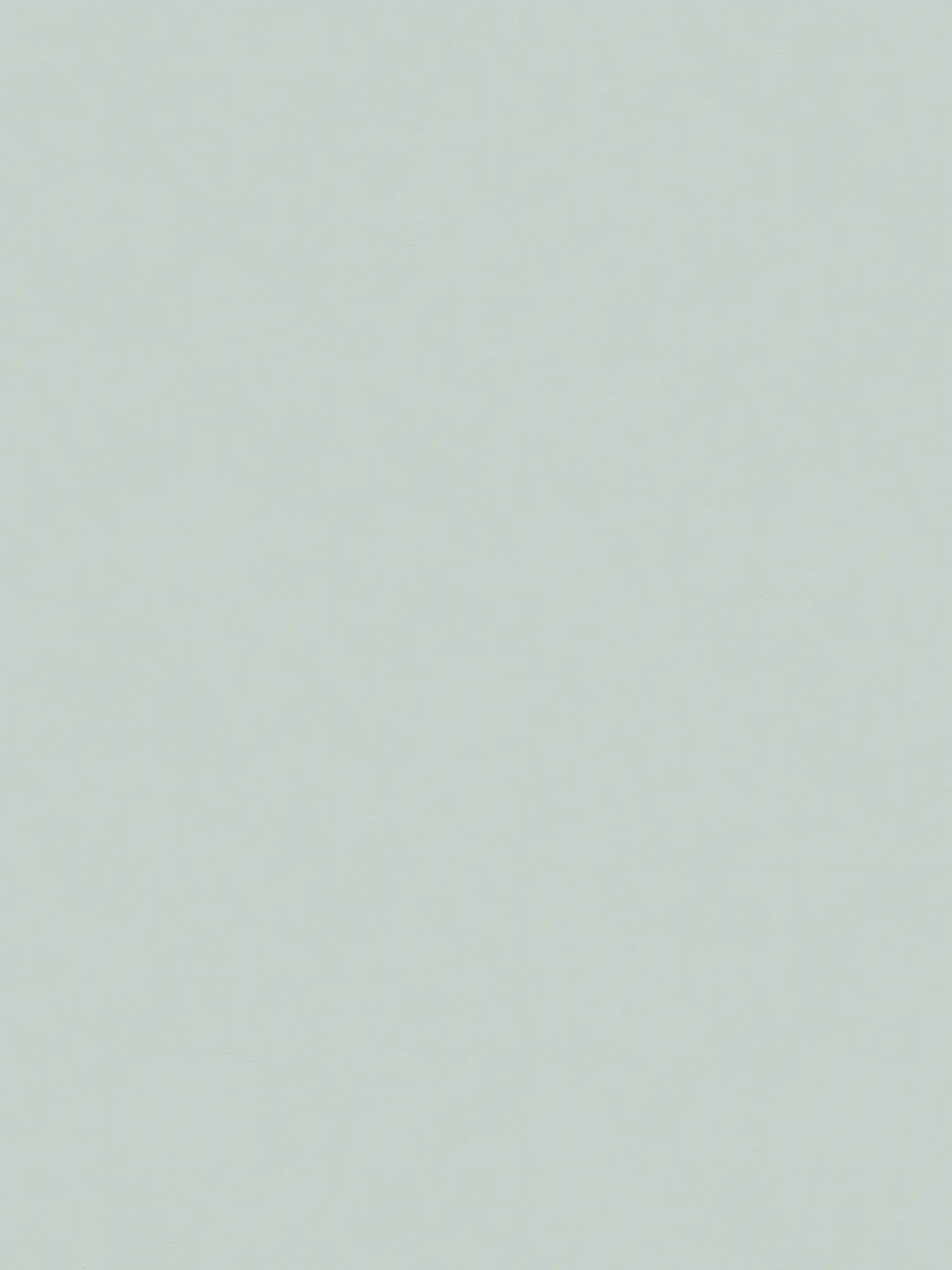         XXL vliesbehang - 'Das Uni' van behangwinkel - 1,06m dubbele breedte - enkelkleurig en subtiel gestructureerd - mintgroen
    