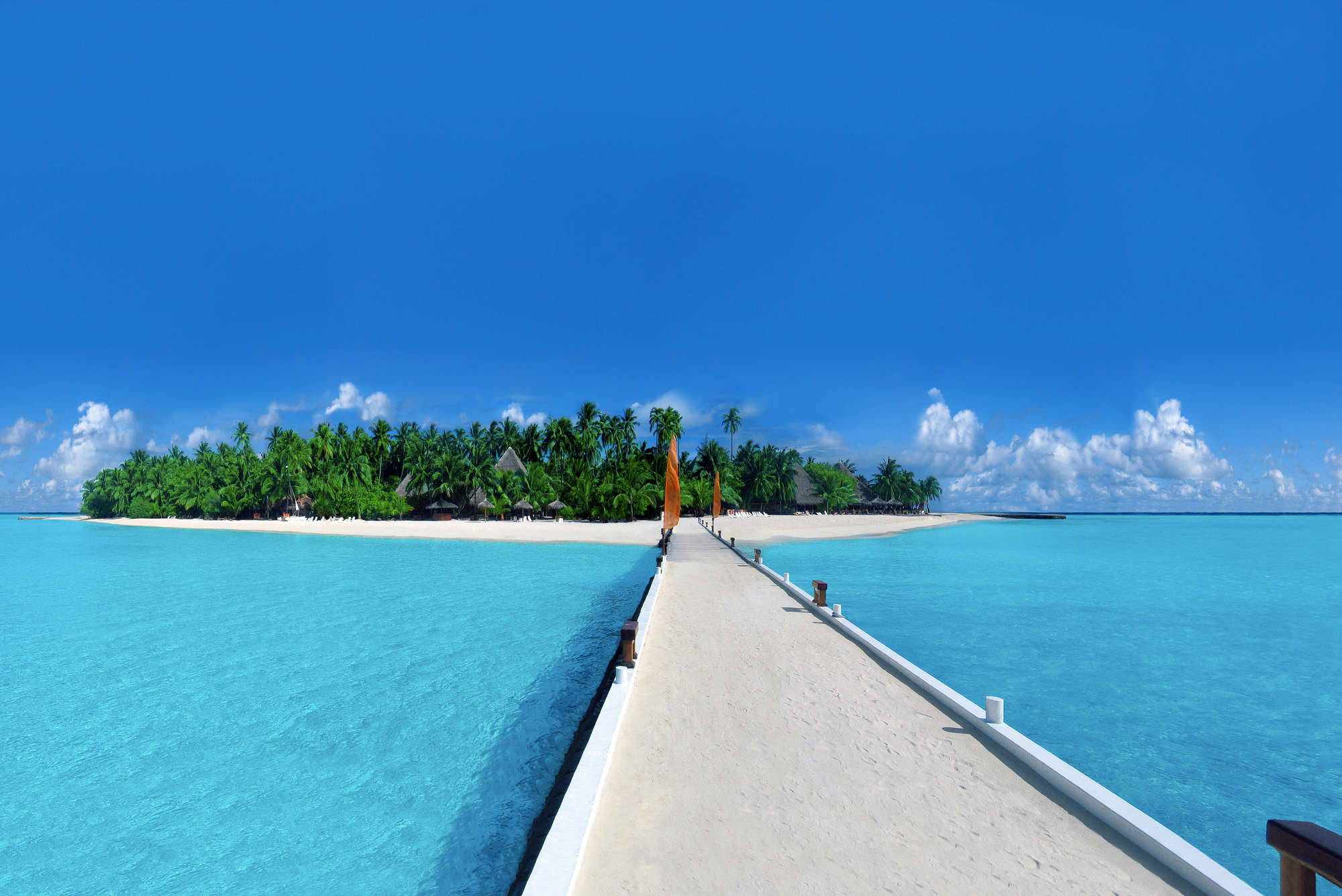 strand, palmen, paradies, pier, türkises wasser