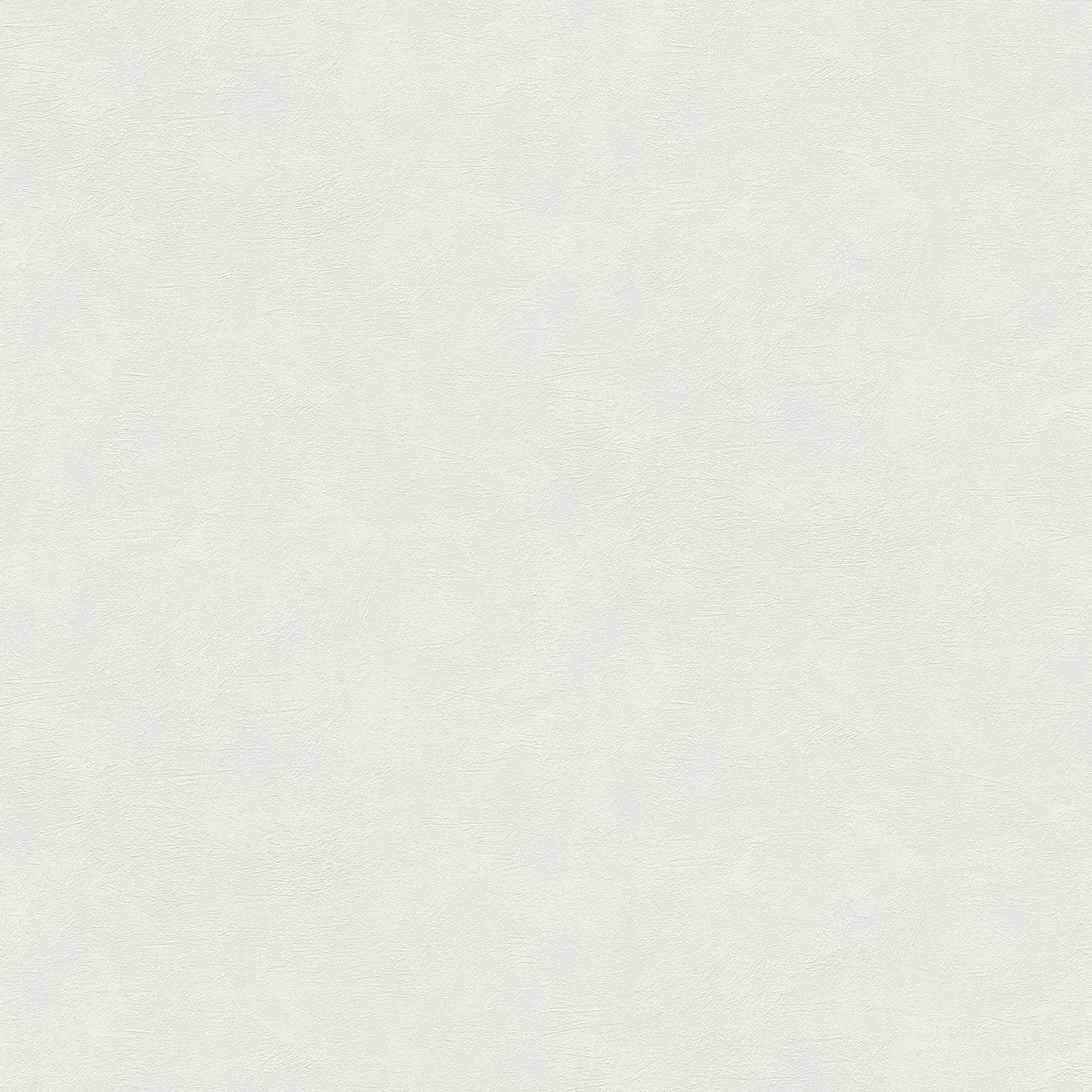         Overschilderbaar vliesbehang met structuur - 25,00 m x 1,06 m
    