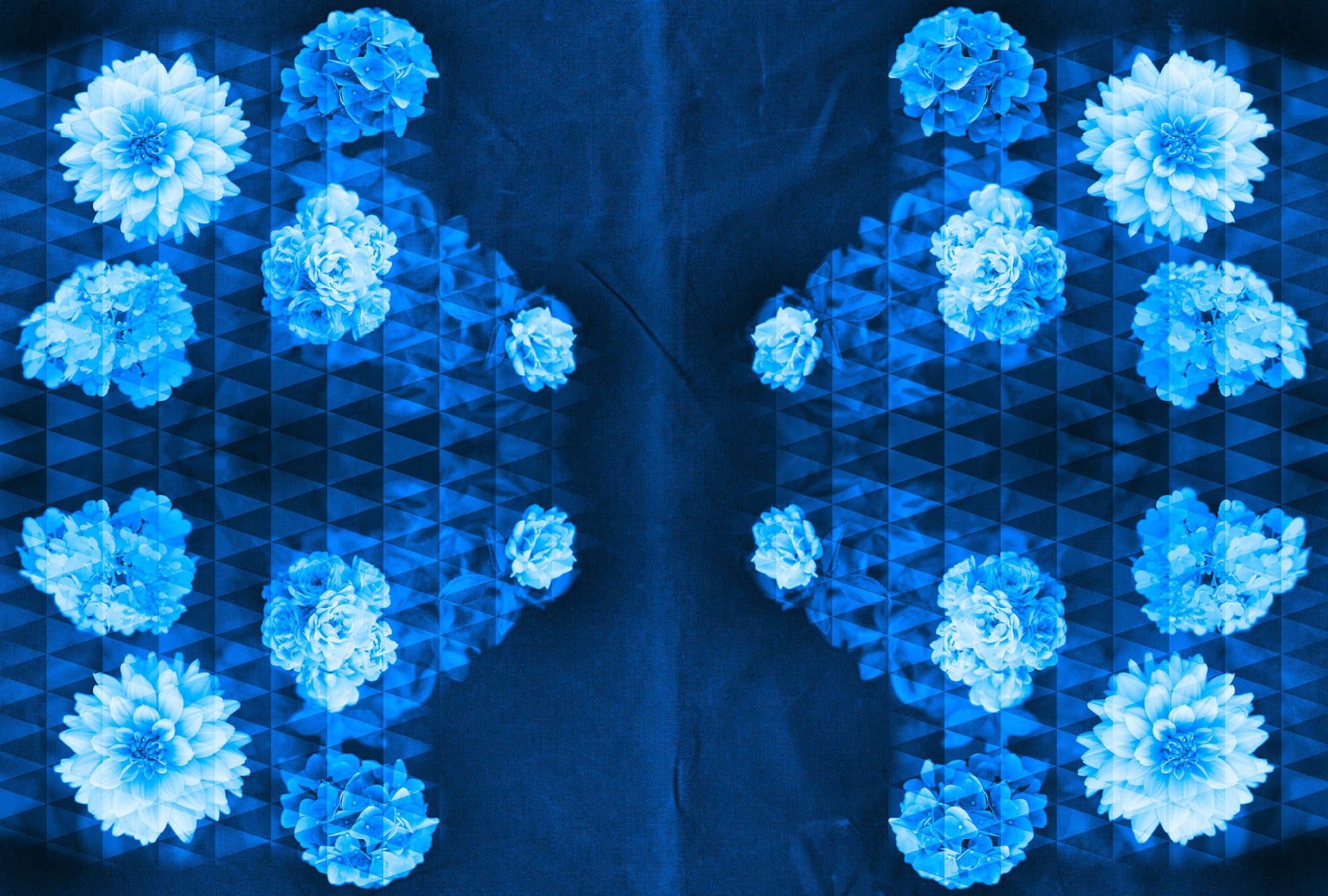             Florale Fototapete – Vliestapete mit kunstvoll angeordneten Blütenmustern – Blau, Schwarz
        