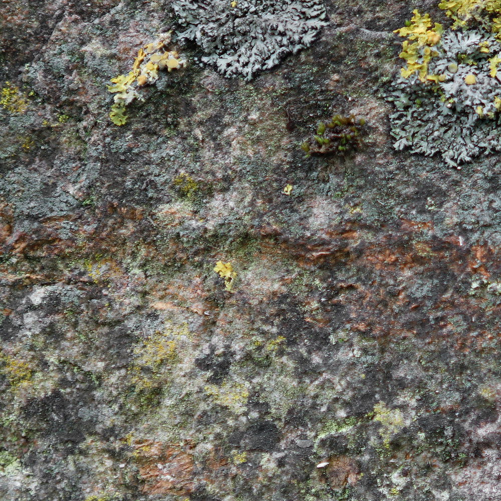             Urban Fototapete – Stein Vliestapete in 3D Optik mit verwitterter Wand – Grau, Grün
        