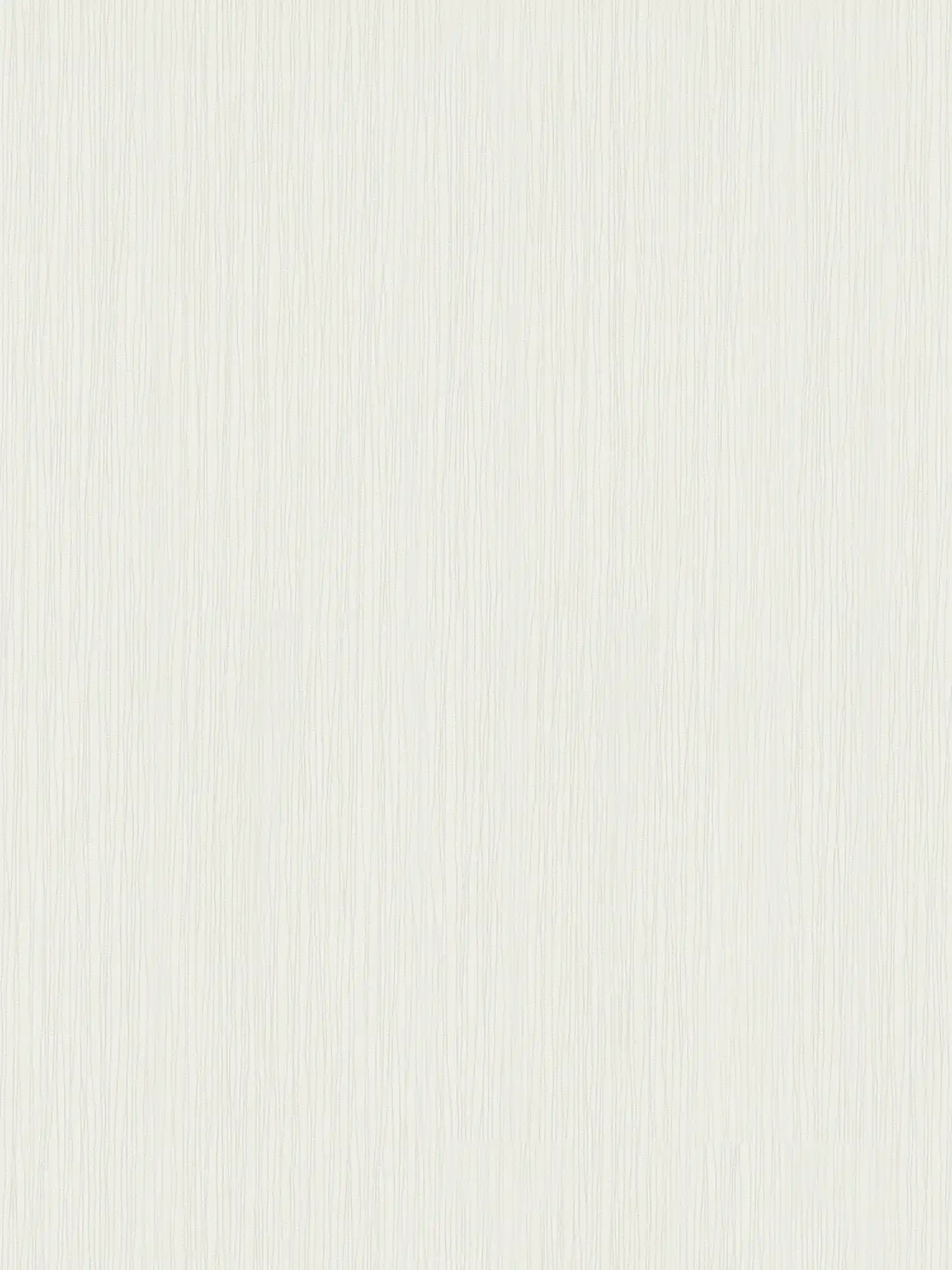         HECHTER Tapete Weiß mit Metallic Linien & Prägestruktur
    