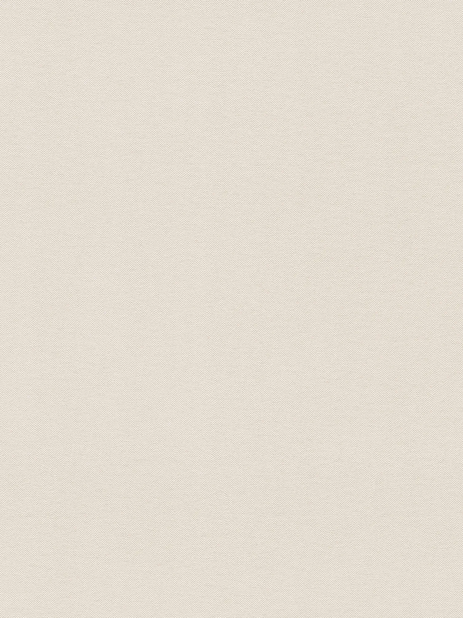             Einfarbige Vliestapete mit edler Oberflächenstruktur – Creme, Beige
        