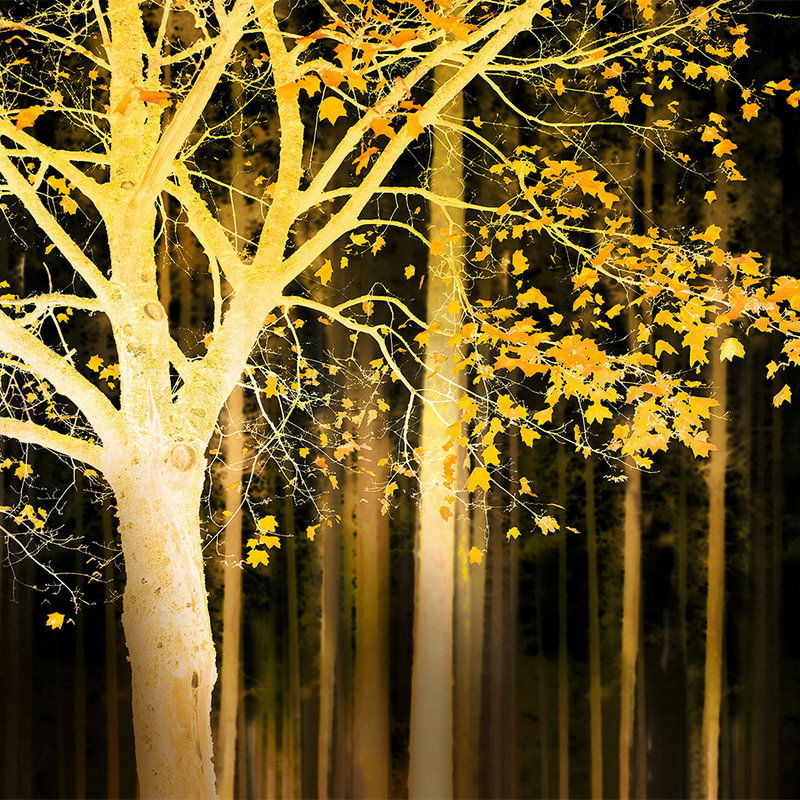        Wald Flair Fototapete – Vliestapete mit leuchtendem Baum Motiv – Gelb, Schwarz
    