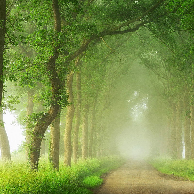         Architects Paper Fototapete AP Digital 4
    