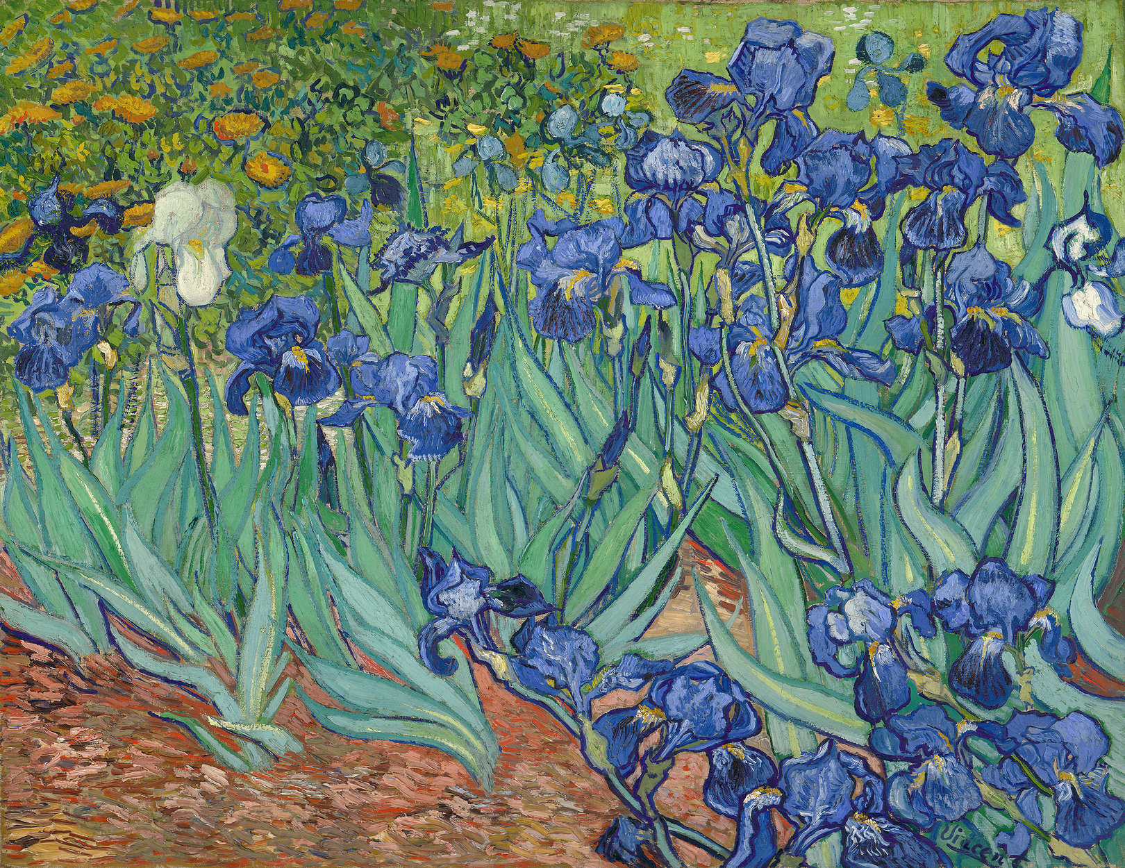            Fototapete 'Schwertlilien' von Vincent van Gogh
        