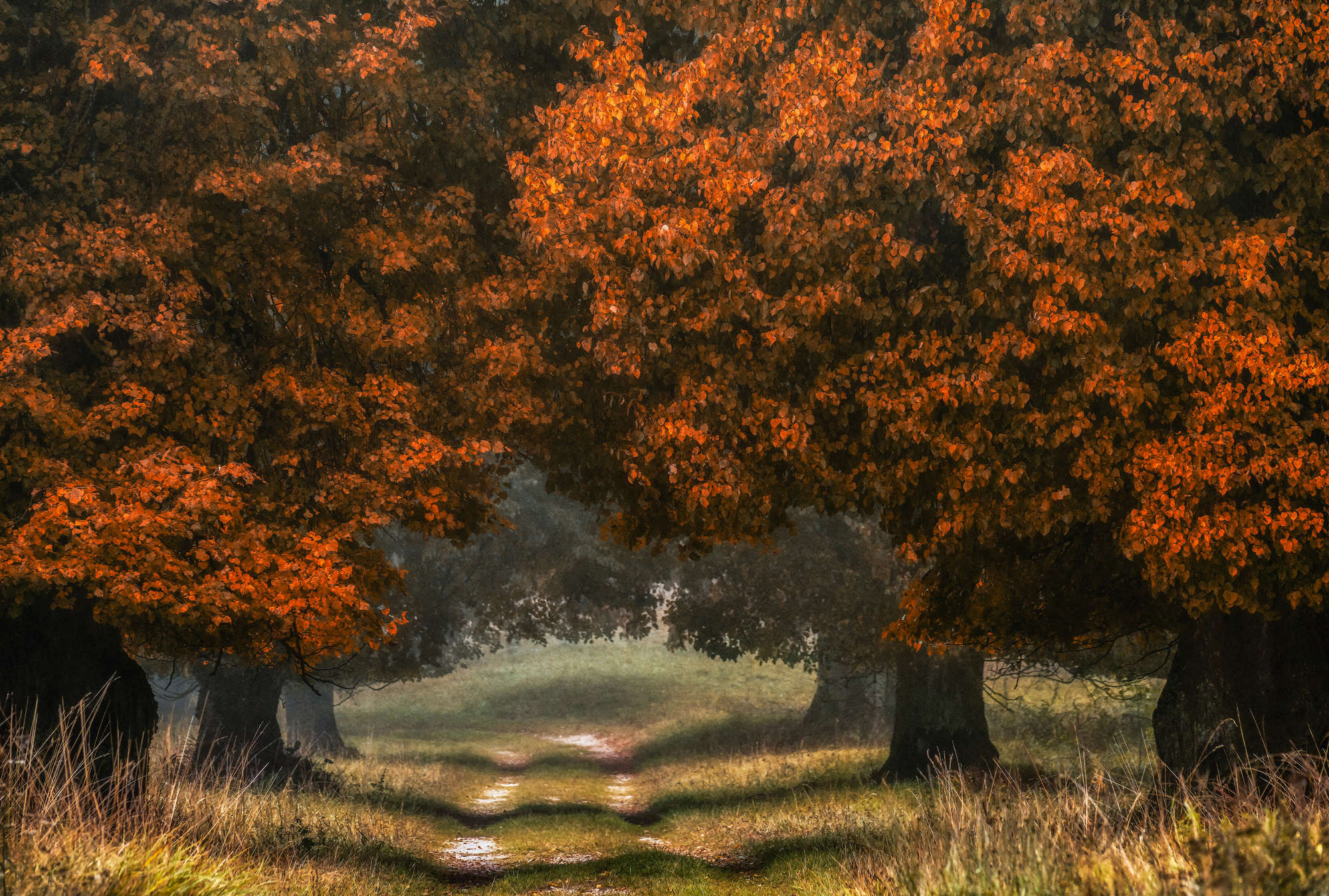             Architects Paper Fototapete AP Digital 4
        