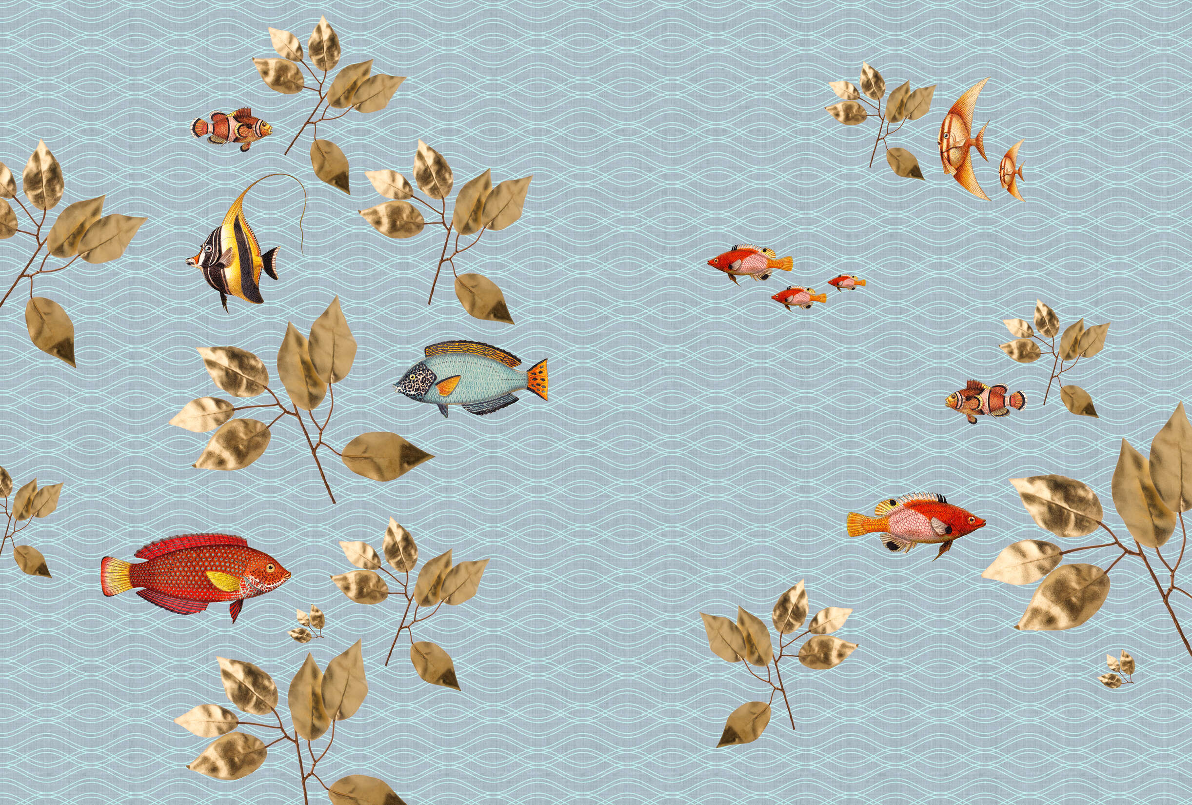 Tier, Fische, Leben im Meer, Muster