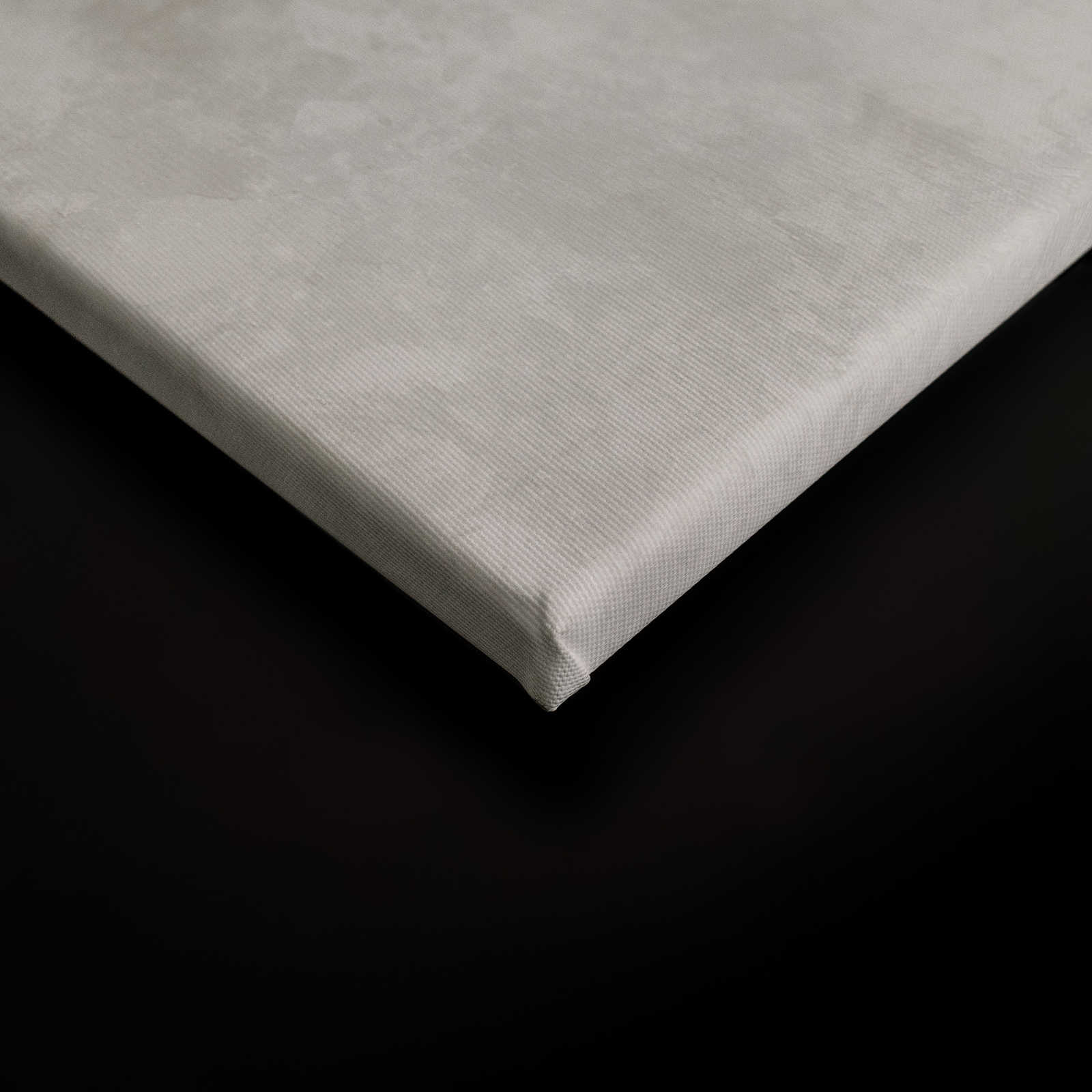             Schwarz-Weißes Leinwandbild Mohnblume Botanical Style – 0,90 m x 0,60 m
        