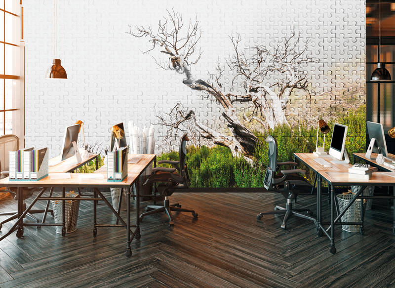 Drinnen, Innenarchitektur, Holz, Mobiliar, Tabelle