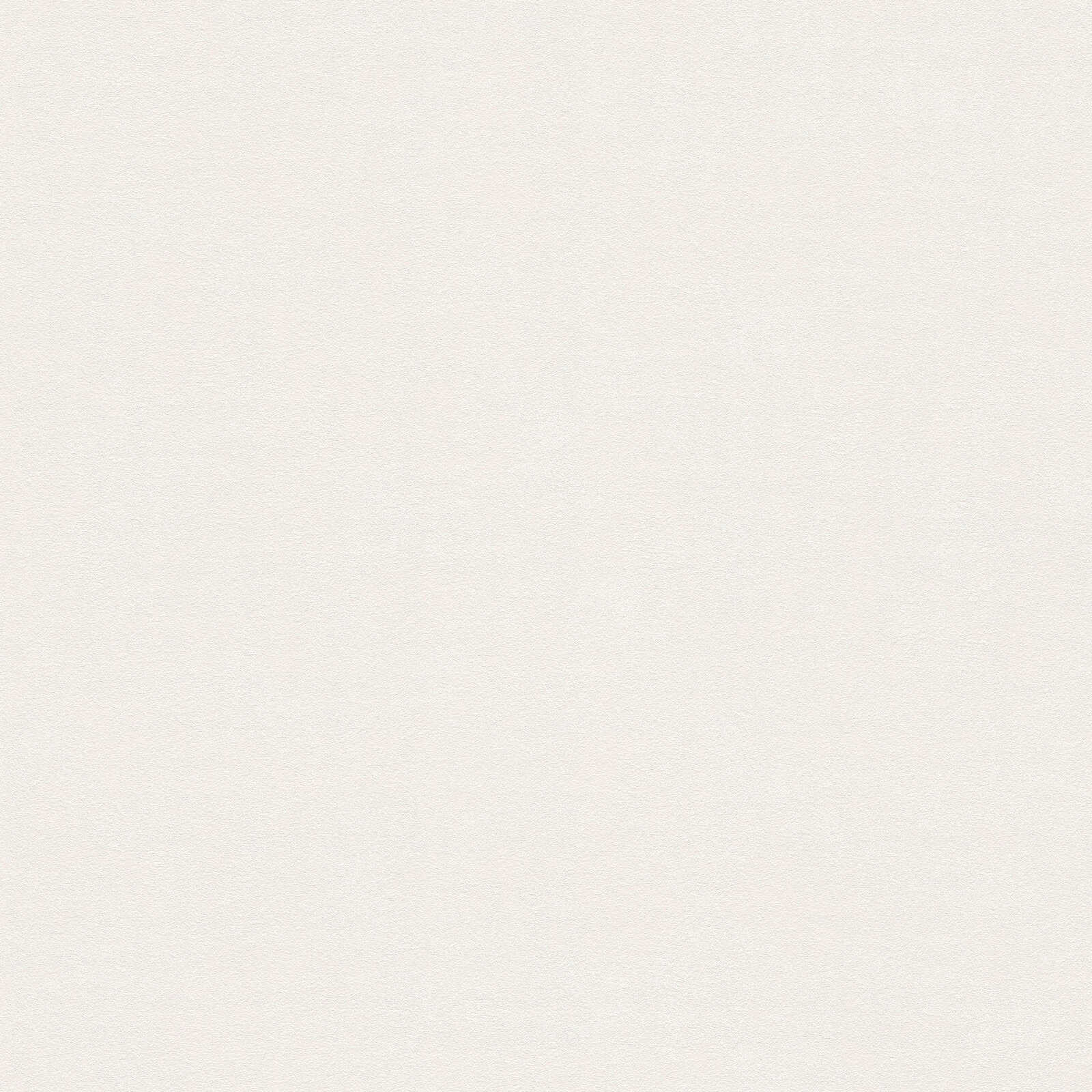 Leinwandpapier, Beige, Textur, Einfarbig, Oberfläche