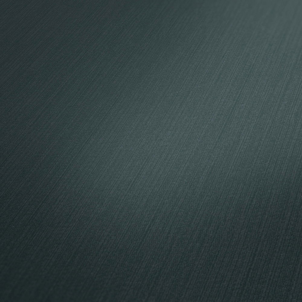             Vliestapete Wassergrün einfarbig, matt – Blau, Grün
        