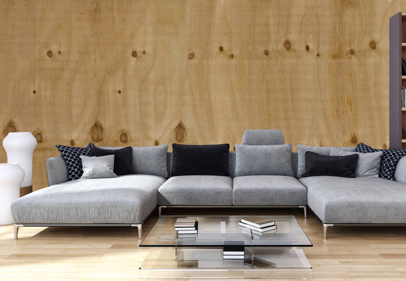 Sofa, Wohnlandschaft, Graues Sofa, Couchtisch Glas, Kissen