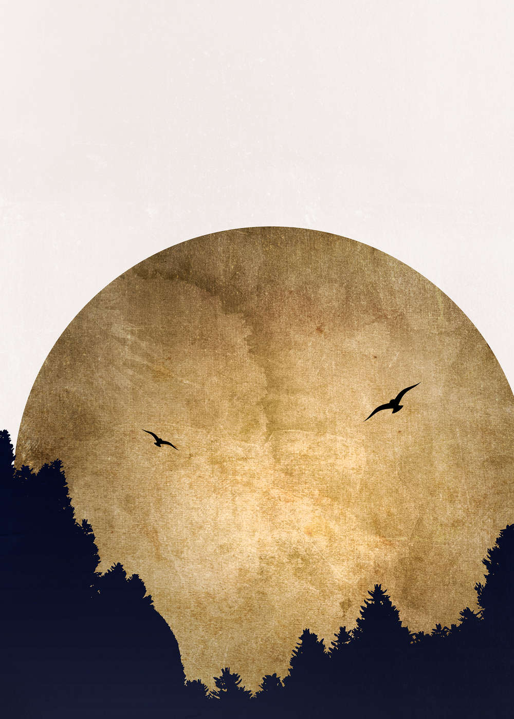 Natur-Hintergrund, Mond, Landschaft, Vögel, Silhouette