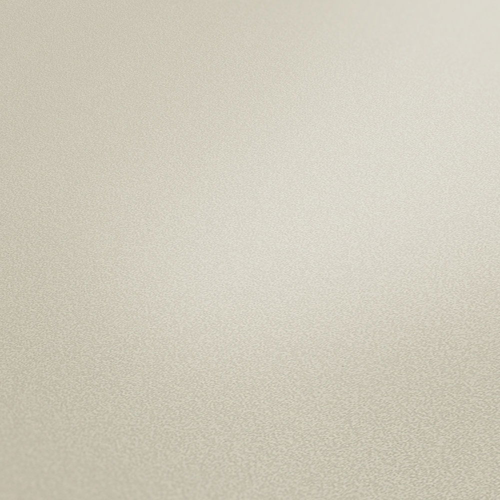             Vliestapete Hellgrau seidenmatt mit dezentem Struktureffekt
        