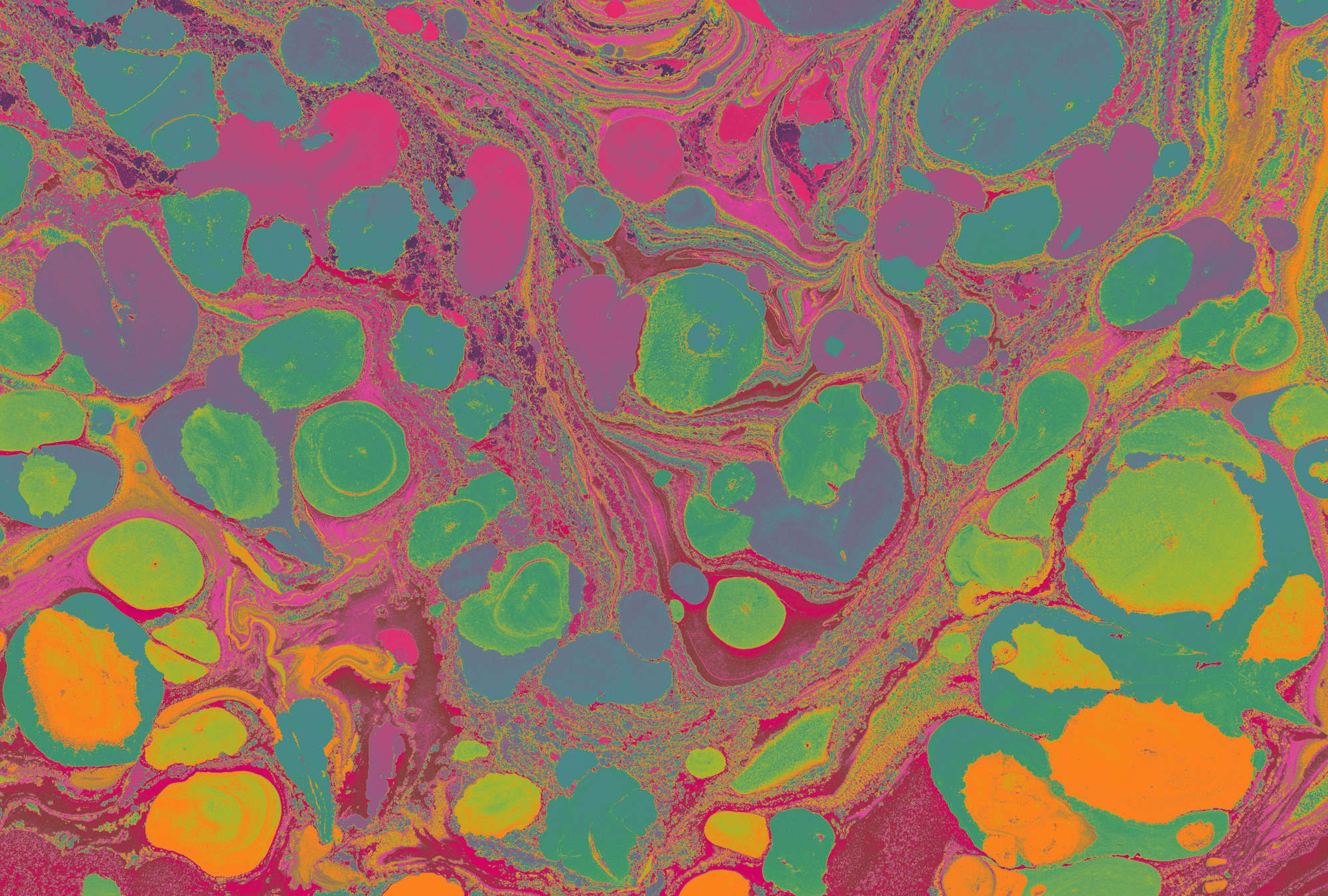             Fototapete »flow« - Farbsplash in knalligen Farben – Grün, Pink, Orange | Glattes, leicht glänzendes Premiumvlies
        