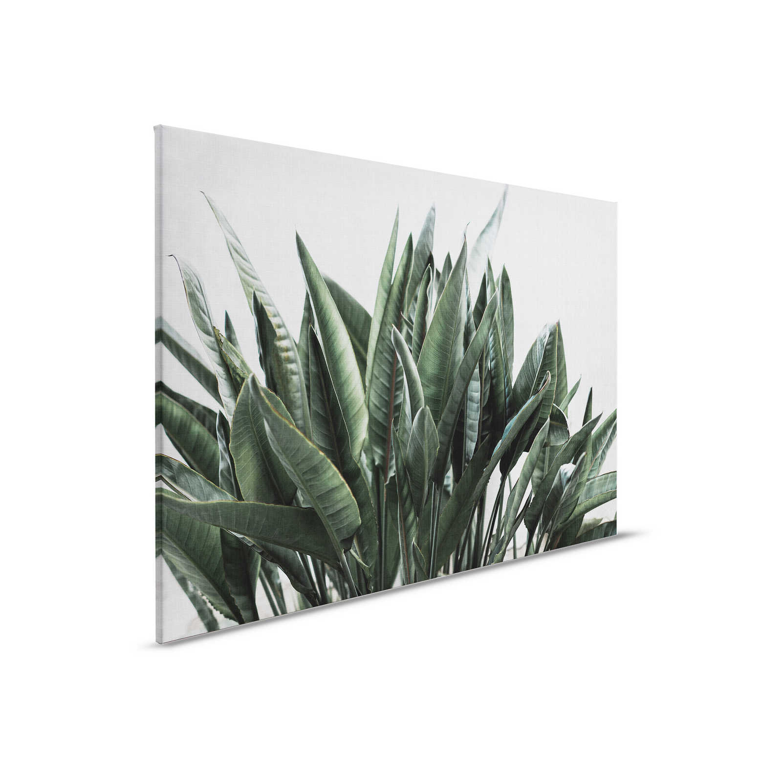         Urban jungle 2 - canvas schilderij met palmbladeren, natuurlijke linnenstructuur exotische planten - 0,90 m x 0,60 m
    