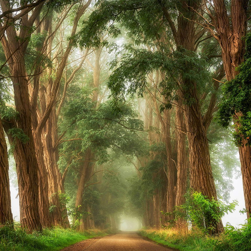         Architects Paper Fototapete AP Digital 4
    