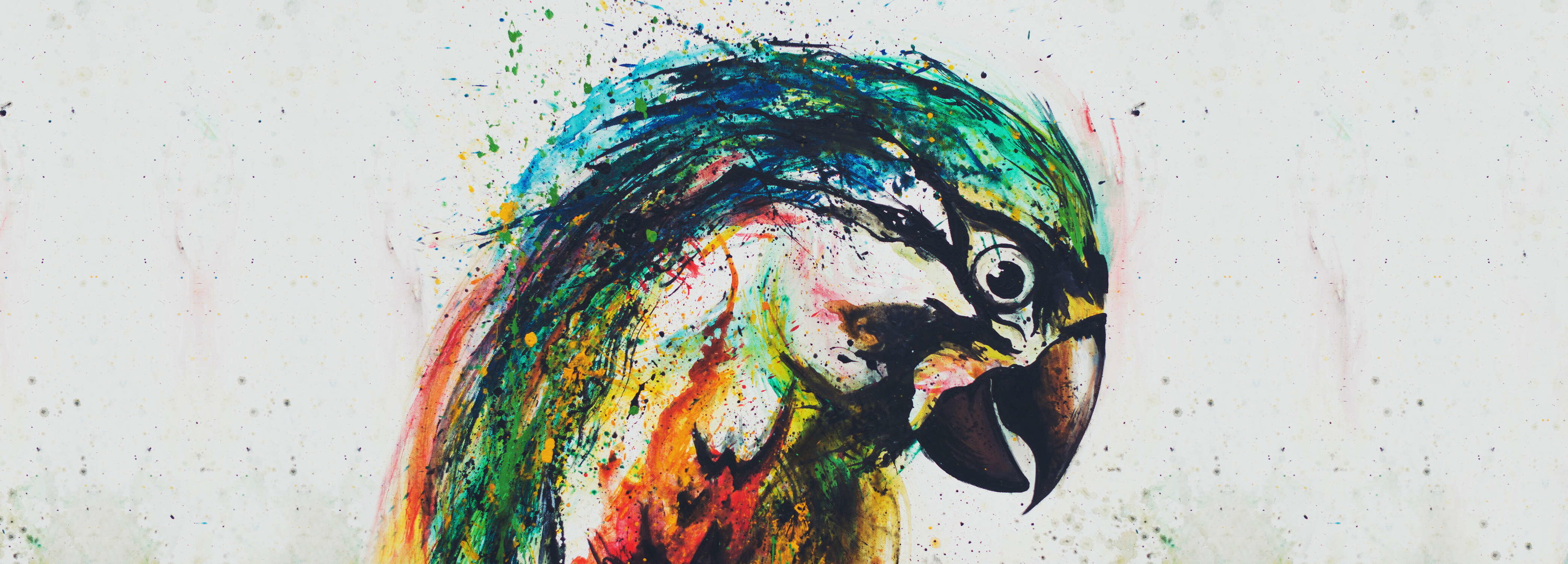 Papagei, Wildfarbe, Acrylbild, Vogelporträt, Kunstdruck