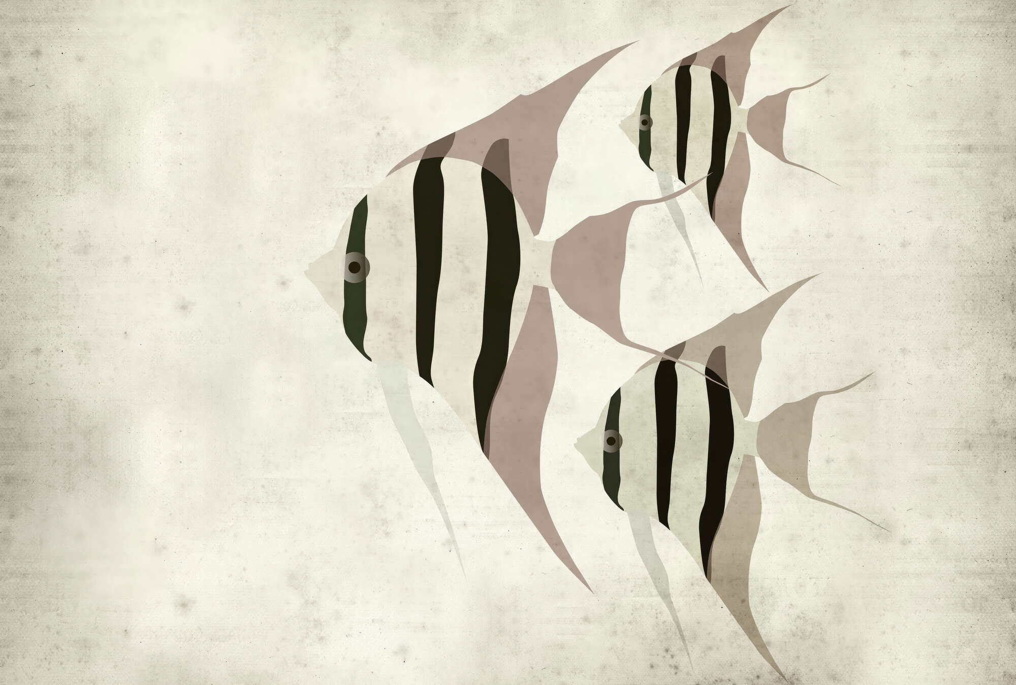 abstract, Fisch, Kunst, Muster, Dekoration